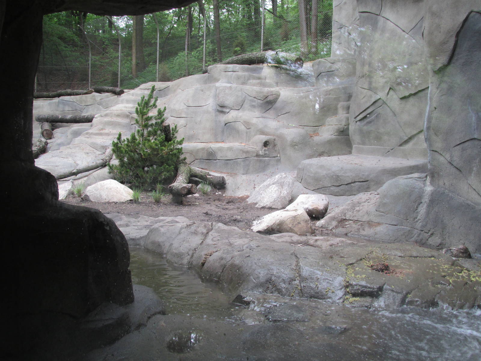North America Grizzly Bear Exhibit