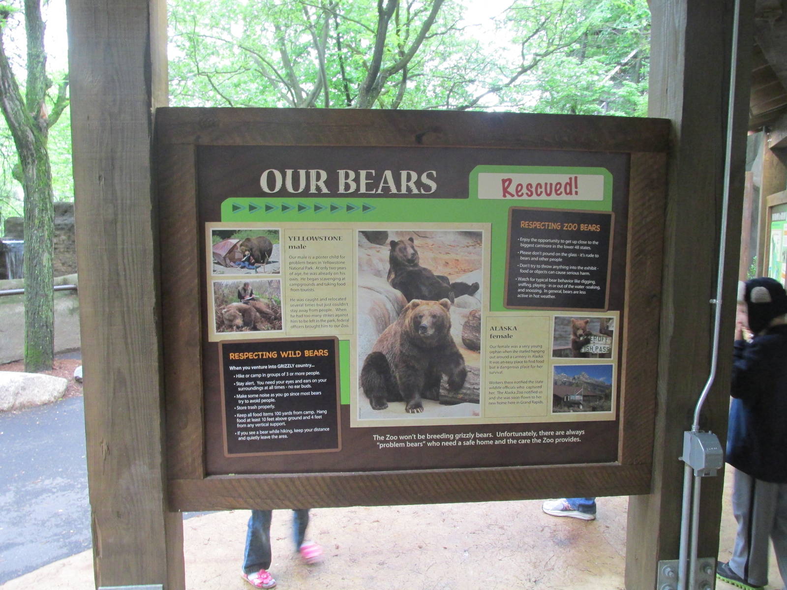 North America Grizzly Bear Exhibit