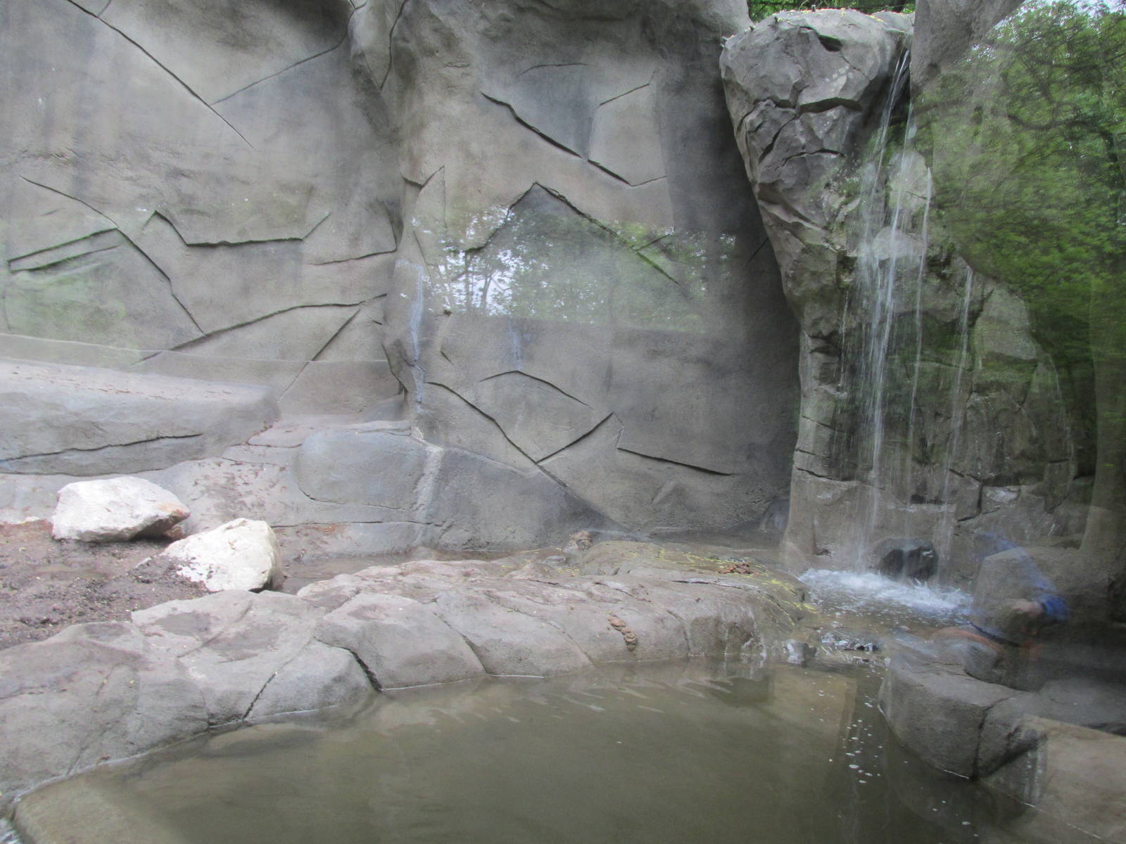 North America Grizzly Bear Exhibit