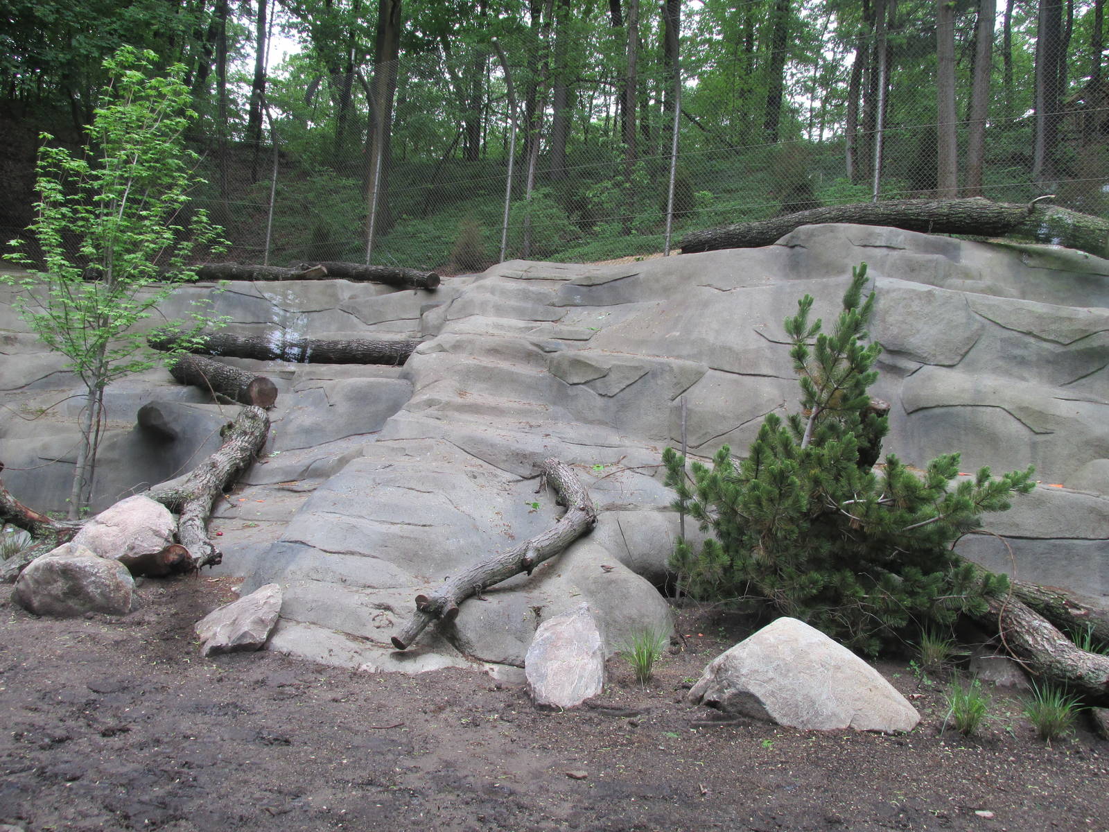 North America Grizzly Bear Exhibit