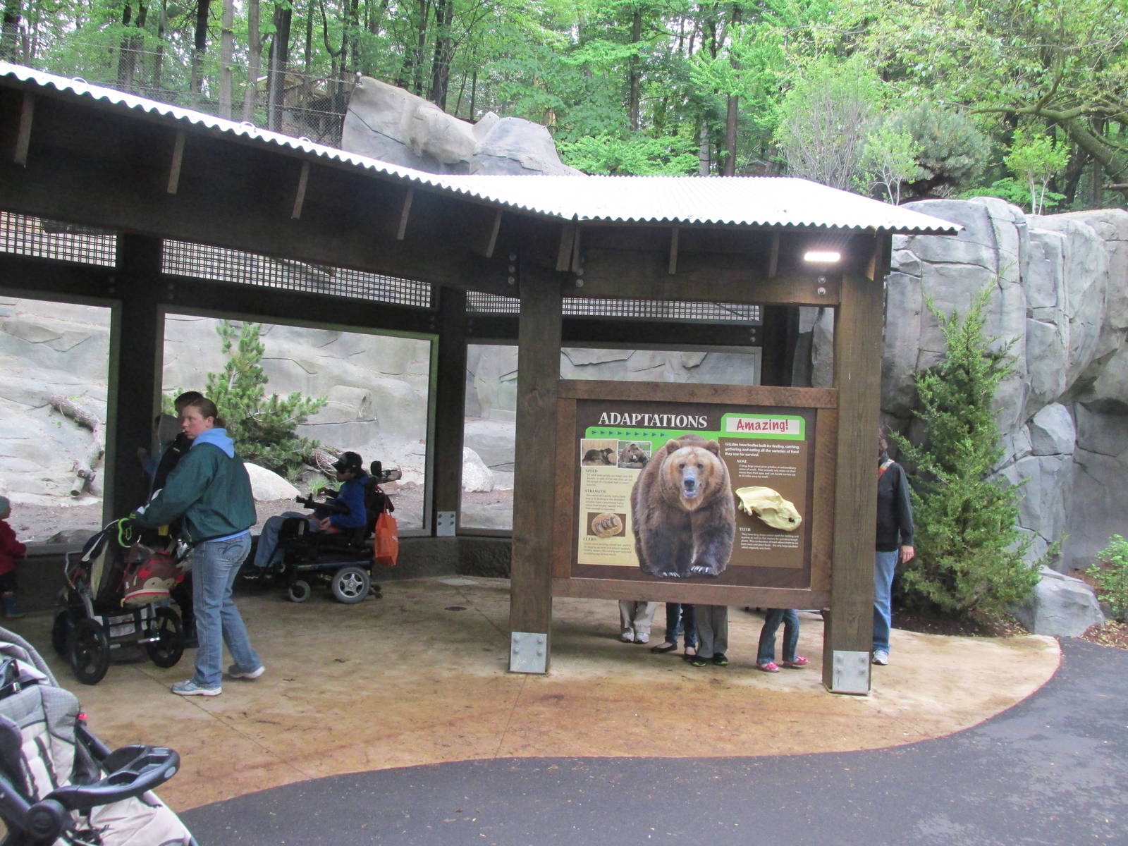 North America Grizzly Bear Exhibit