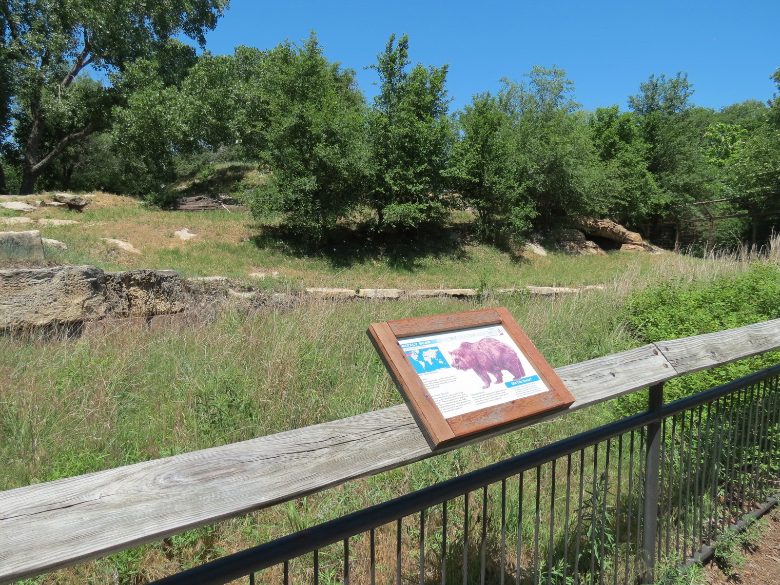 North America - Grizzly Bear Exhibit