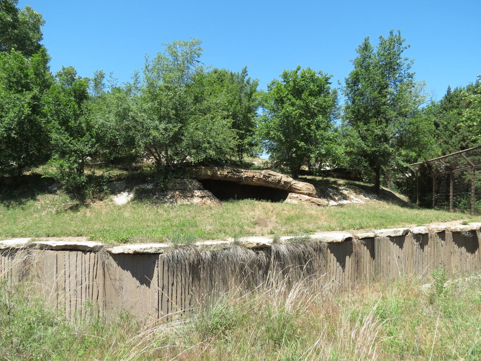 North America - Grizzly Bear Exhibit