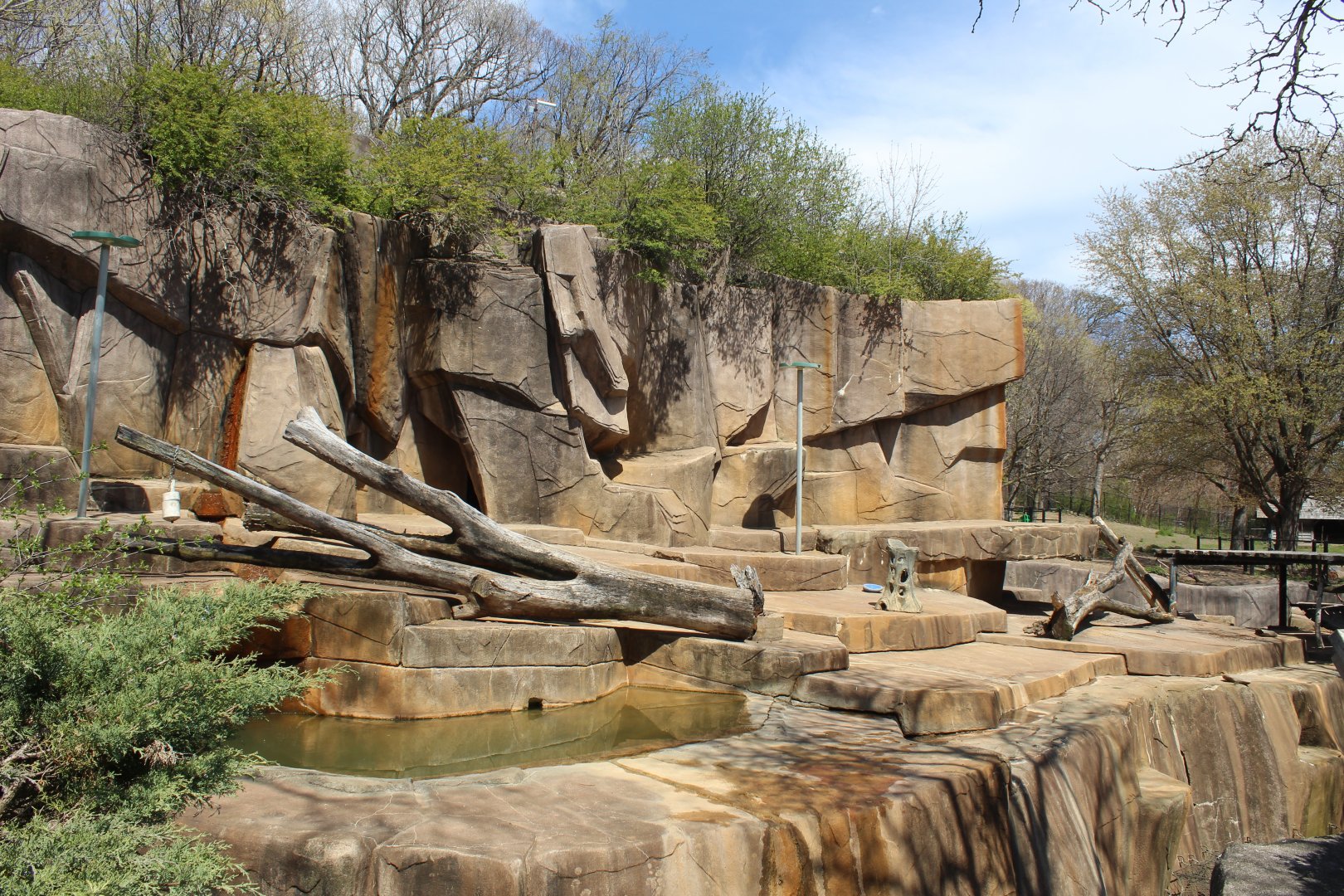 North America - Grizzly Bear Exhibit