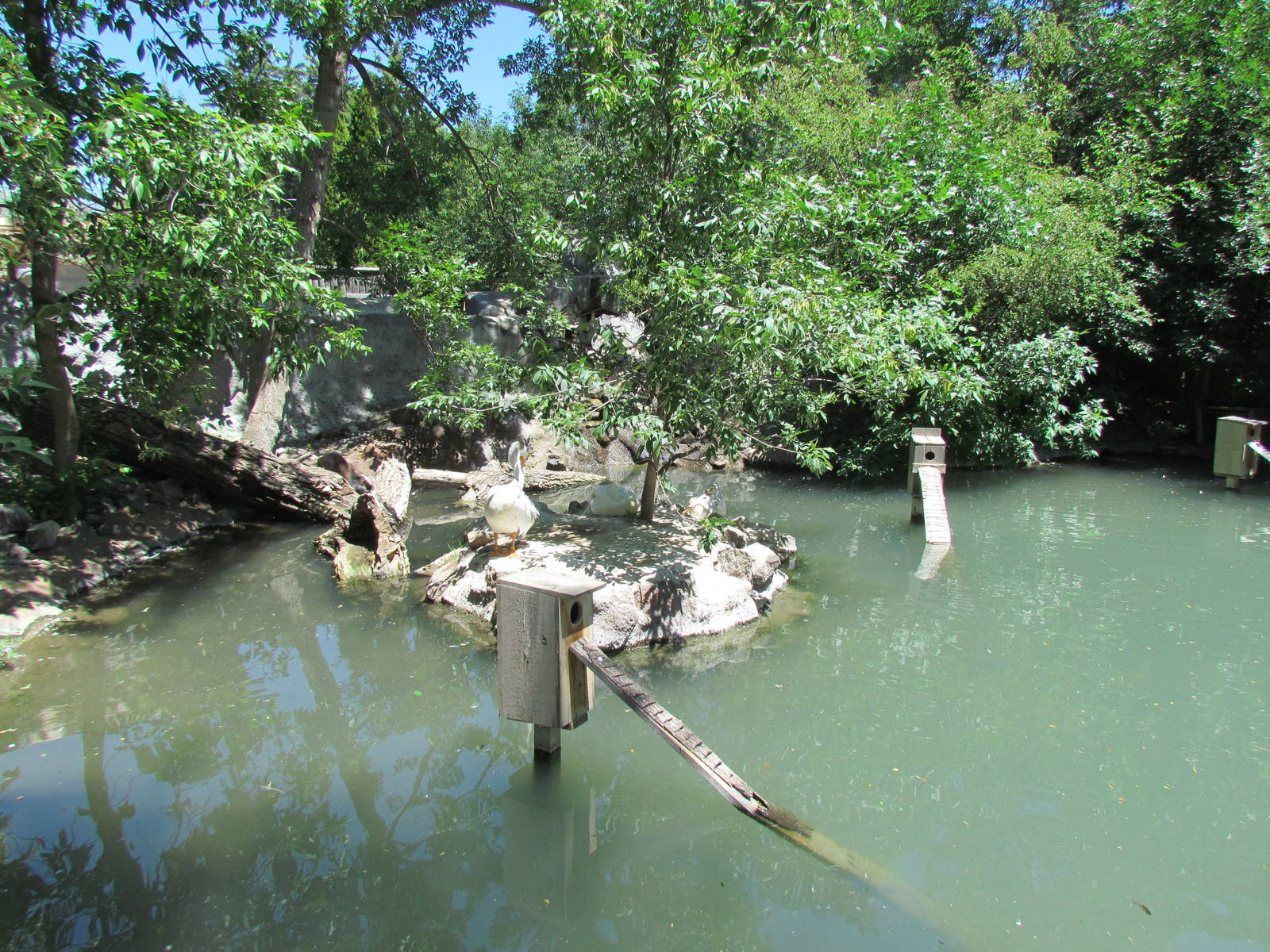 North America - Idaho Pond