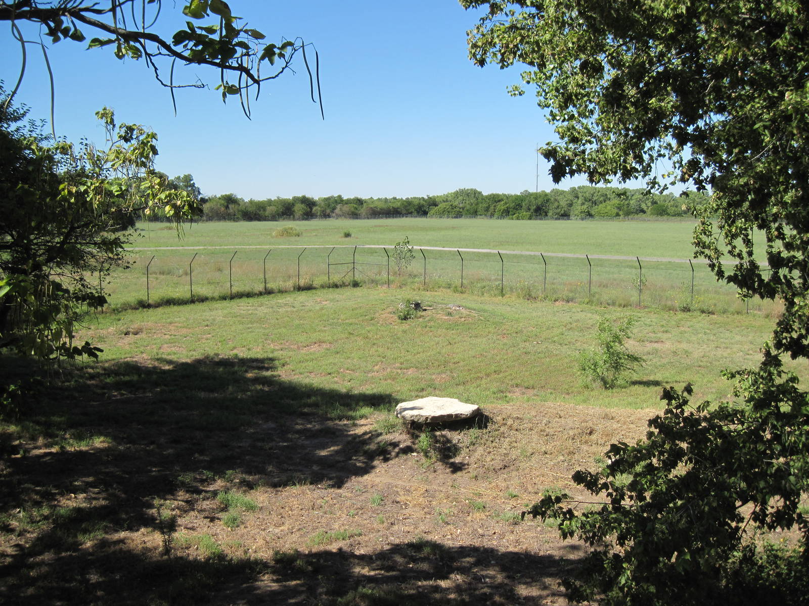 North America-Mexican Gray Wolf Exhibit
