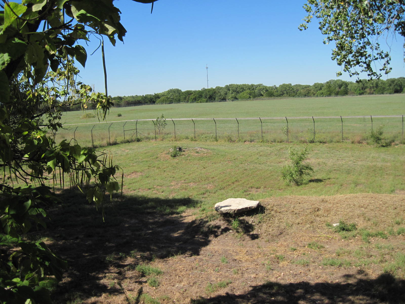 North America-Mexican Gray Wolf Exhibit