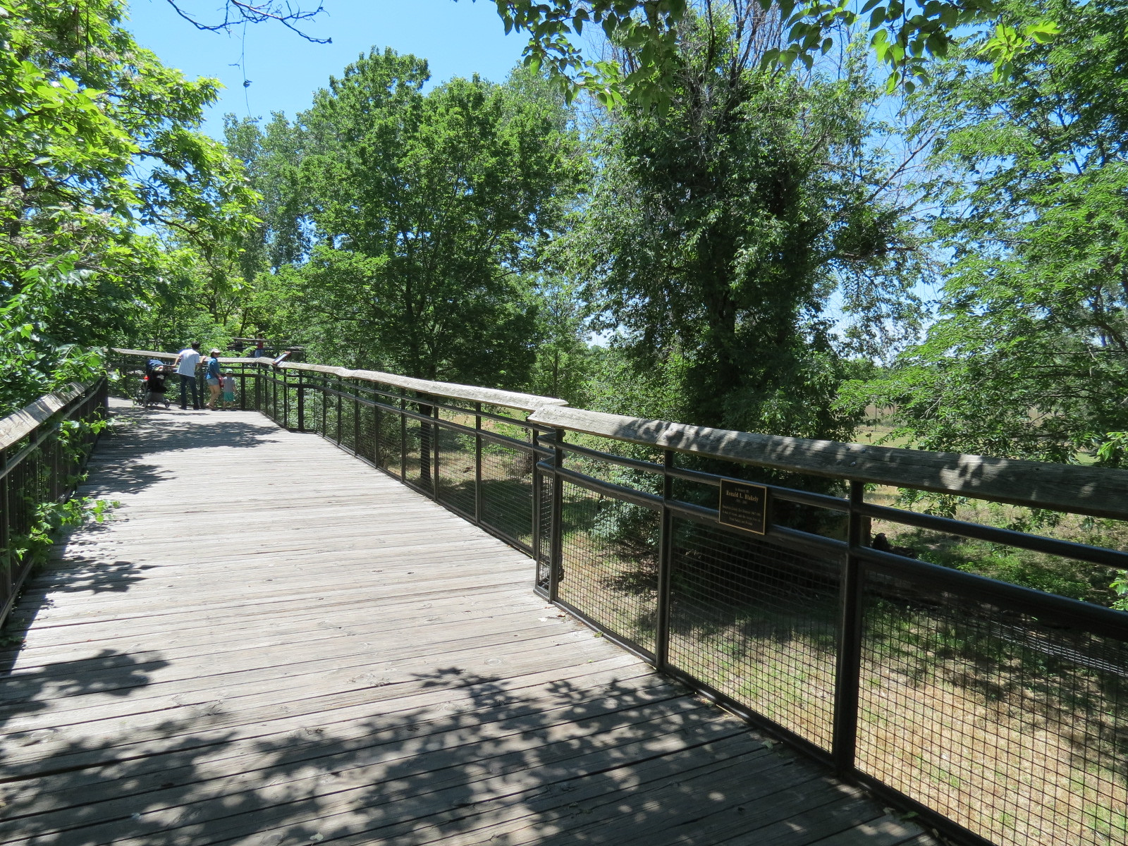 North America - Mexican Wolf Exhibit Viewing Boardwalk