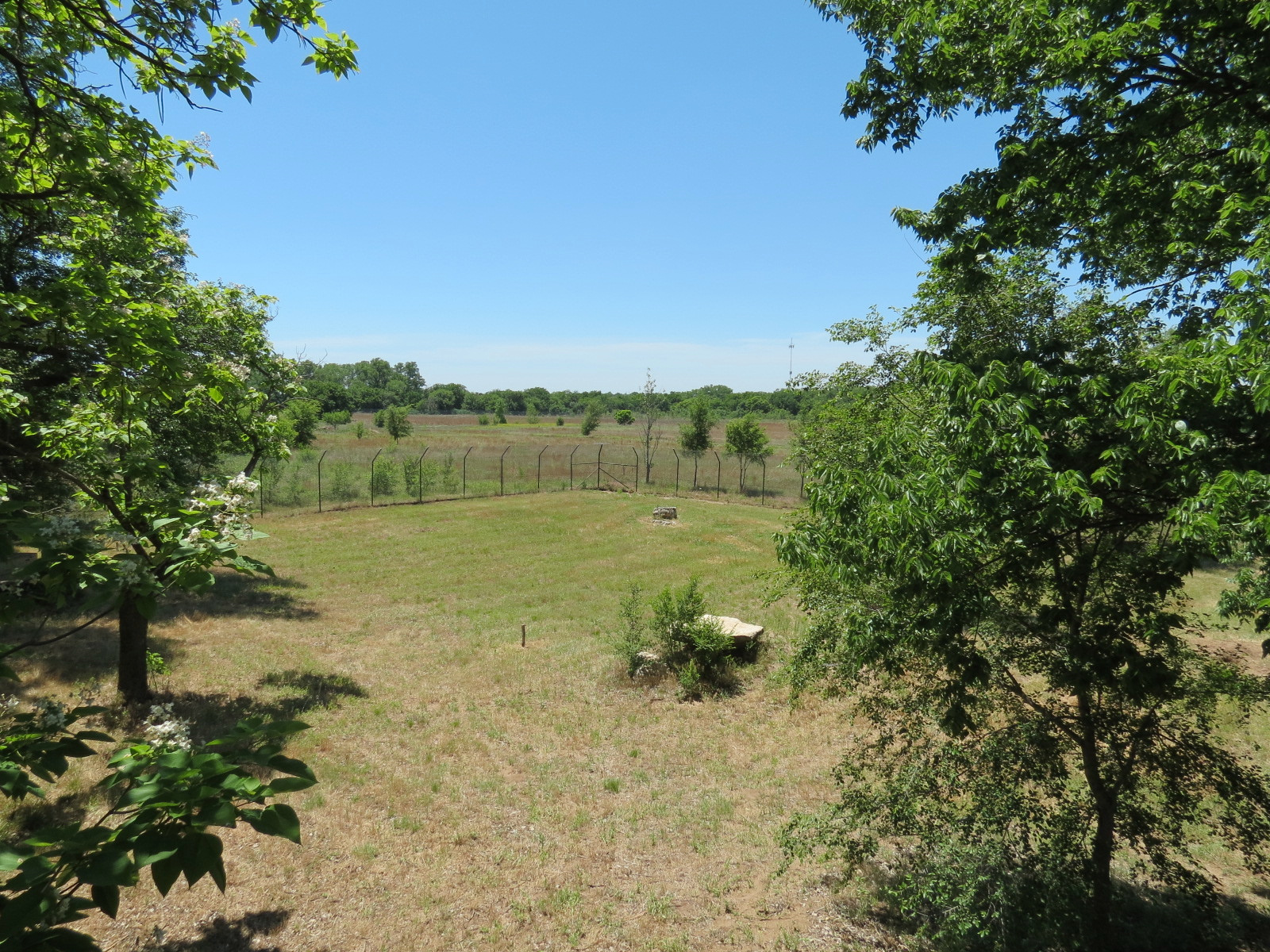 North America - Mexican Wolf Exhibit