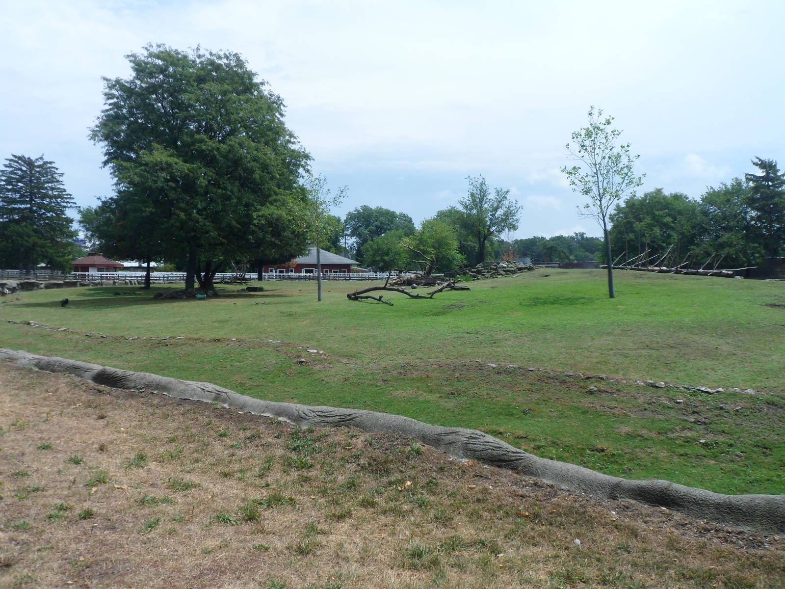 North America Mongolian Horse Exhibit