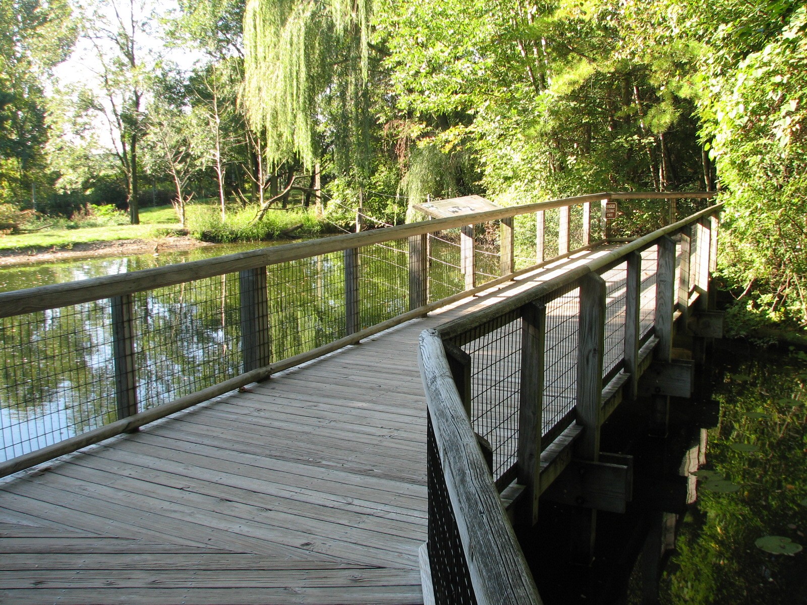 North America - Moose Exhibit