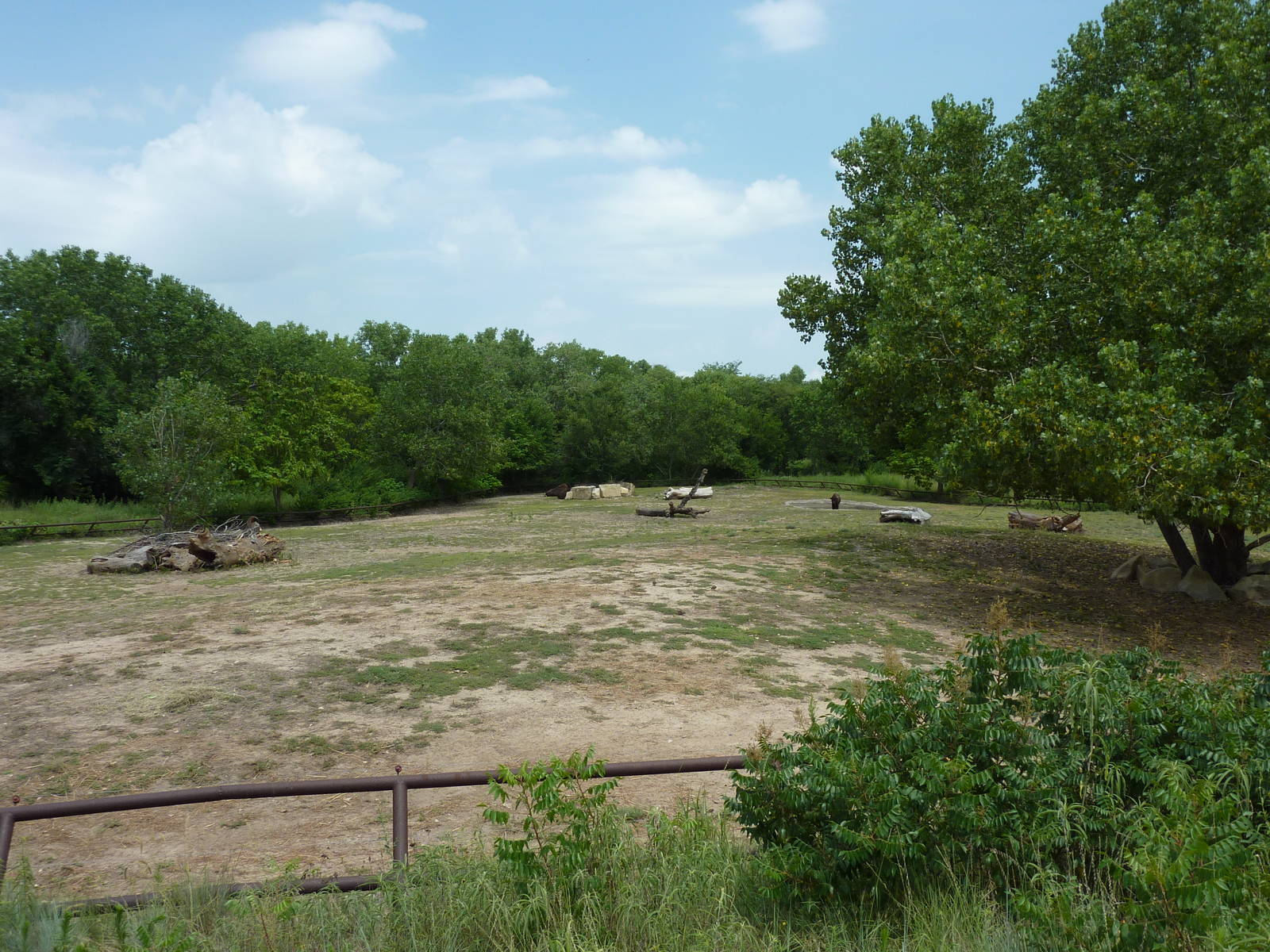 North America - Multi-Acre Bison Paddock
