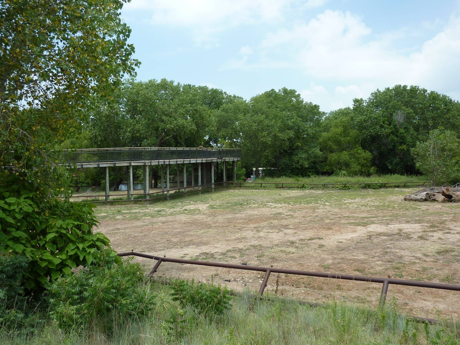 North America - Multi-Acre Bison Paddock