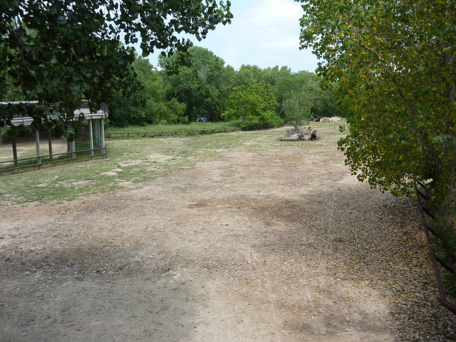 North America - Multi-Acre Bison Paddock