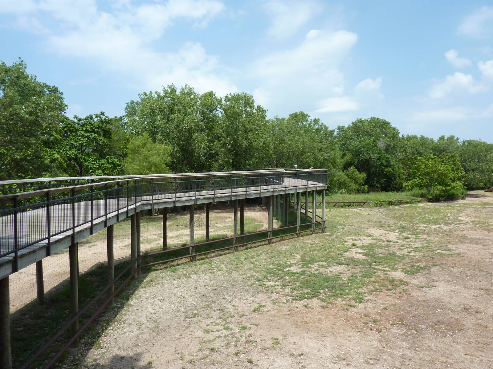 North America - Multi-Acre Bison Paddock