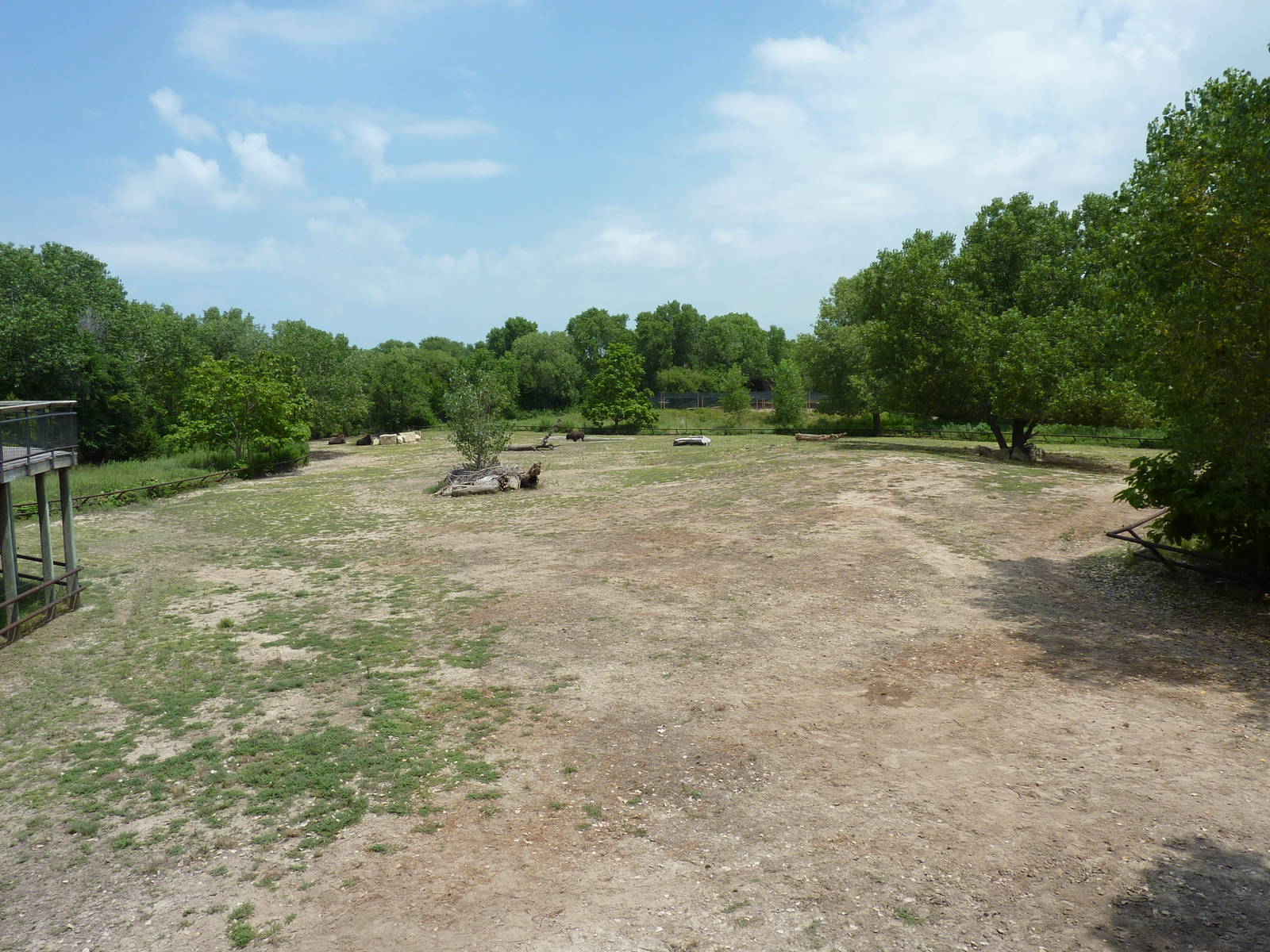 North America - Multi-Acre Bison Paddock