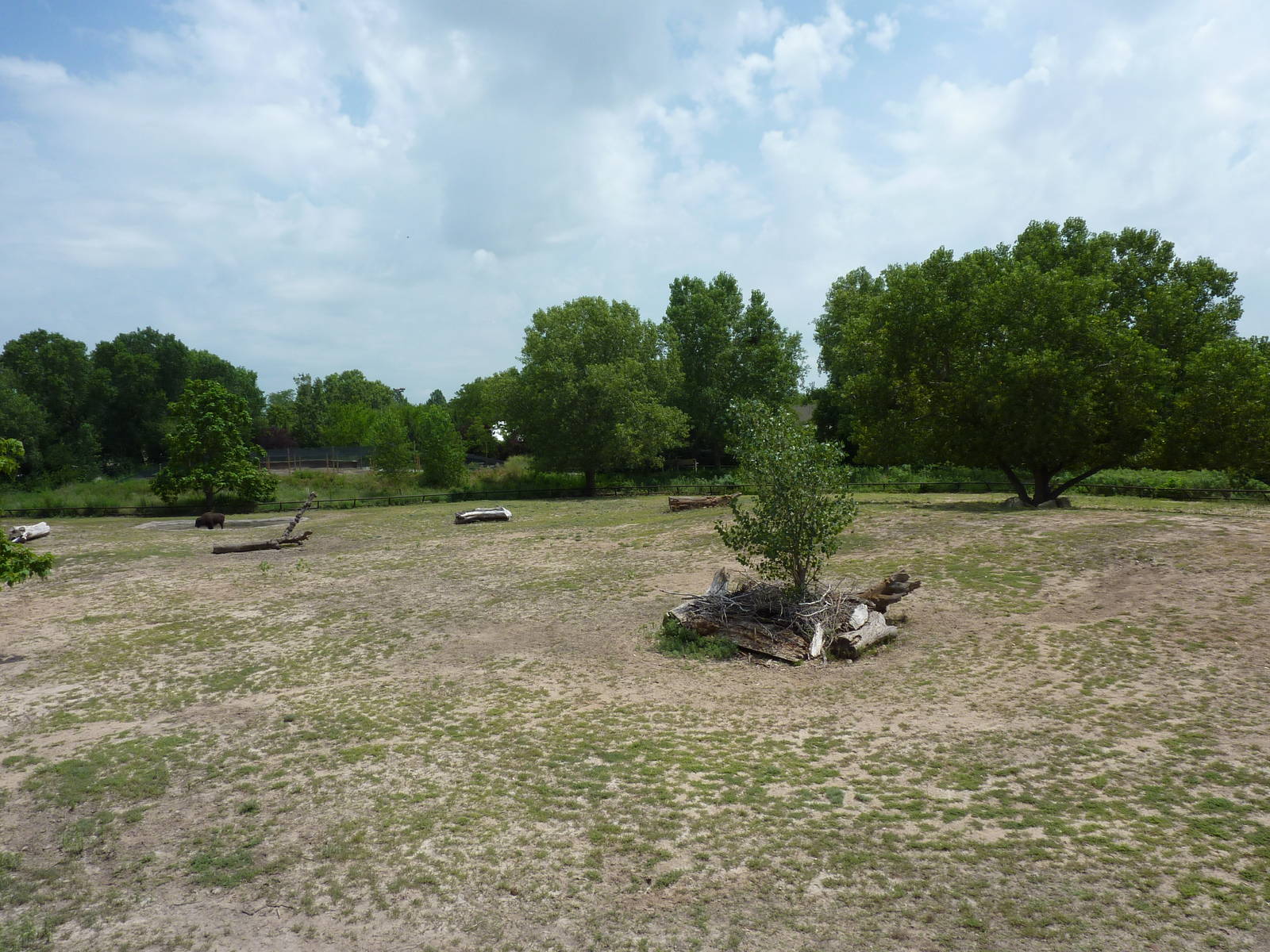 North America - Multi-Acre Bison Paddock