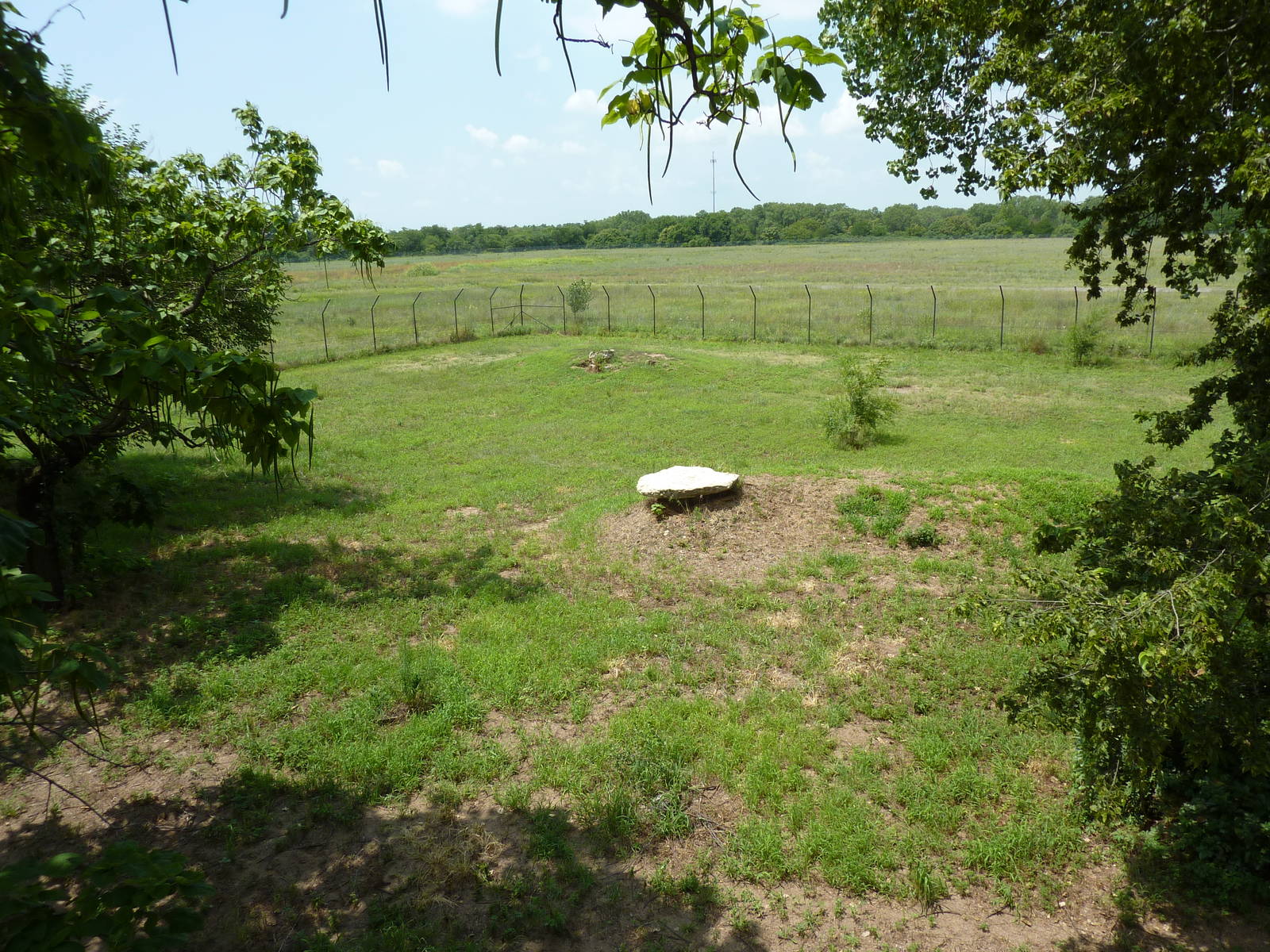 North America - Multi-Acre Mexican Gray Wolf Exhibit
