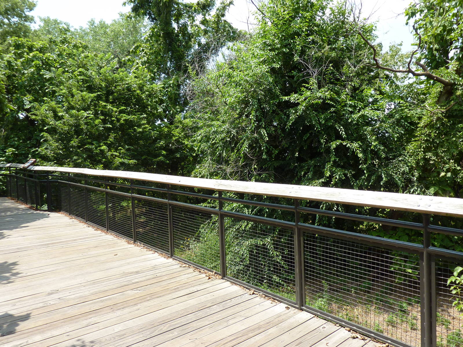North America - Multi-Acre Mexican Gray Wolf Exhibit
