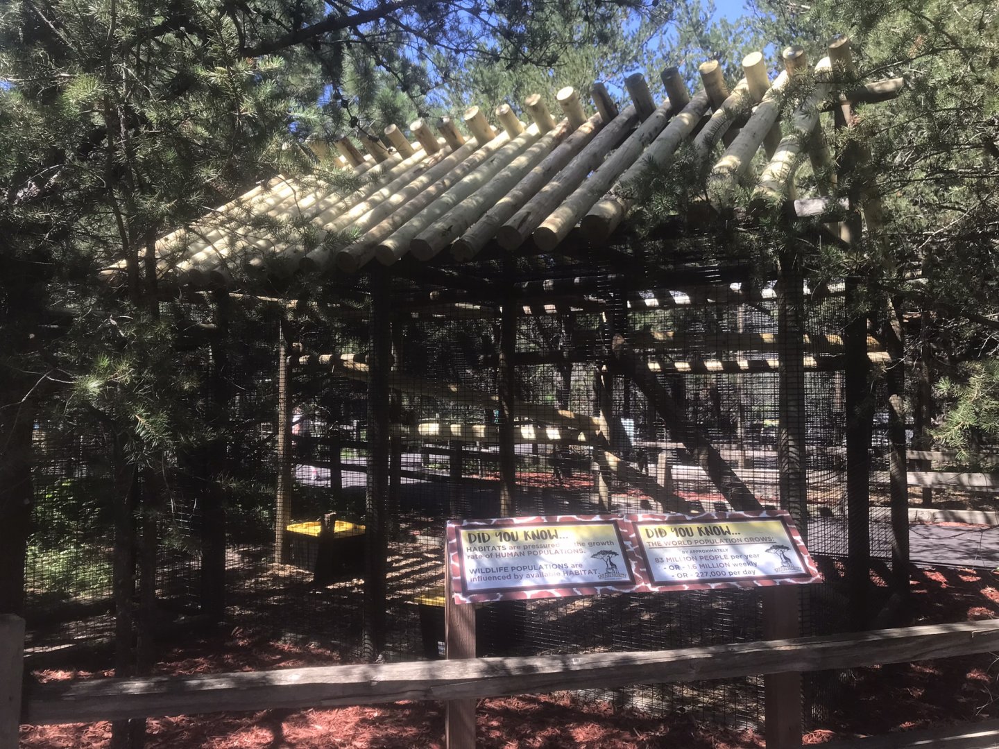 “North America” - New Common Squirrel Monkey Exhibit