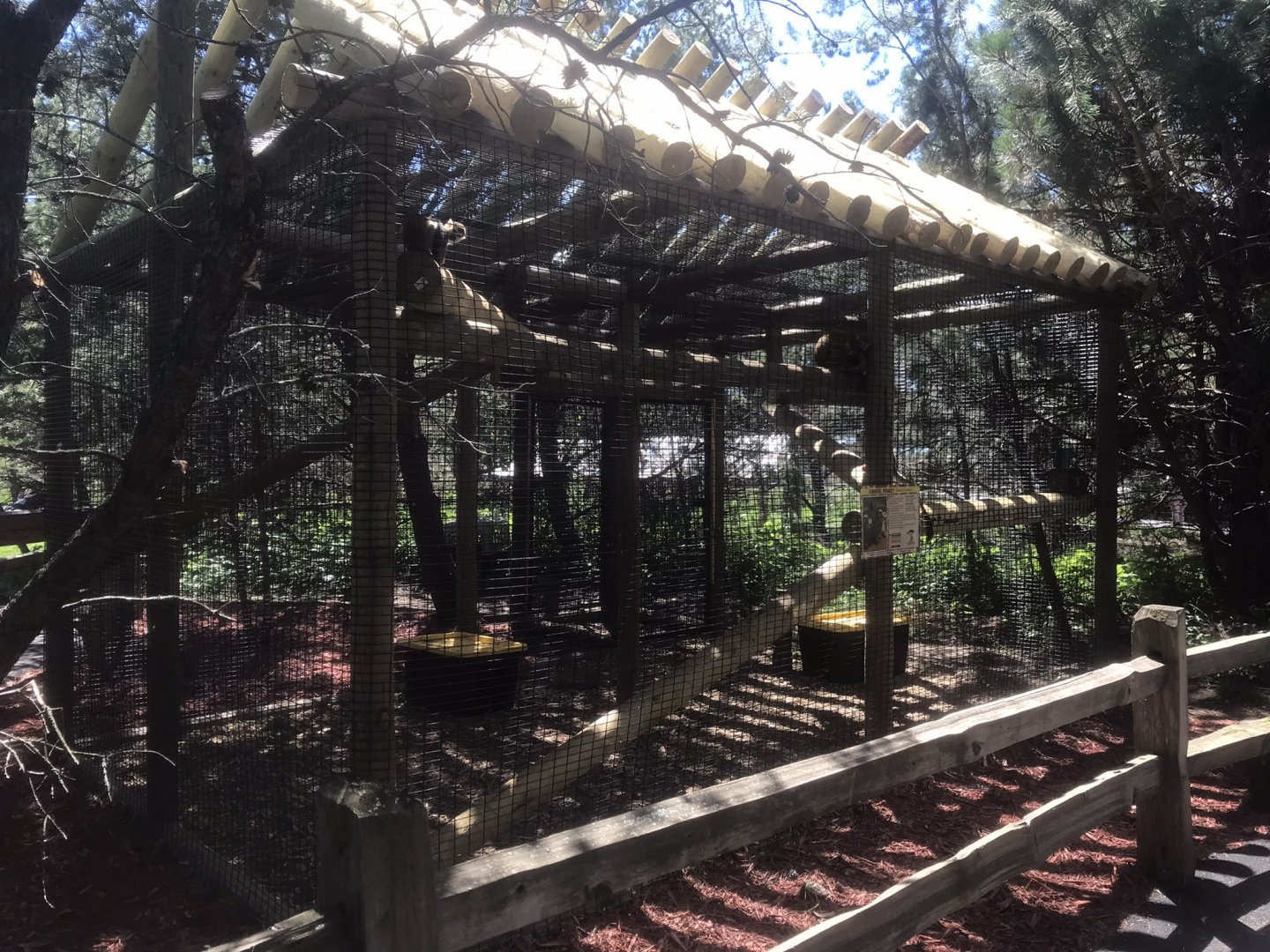 “North America” - New Common Squirrel Monkey Exhibit