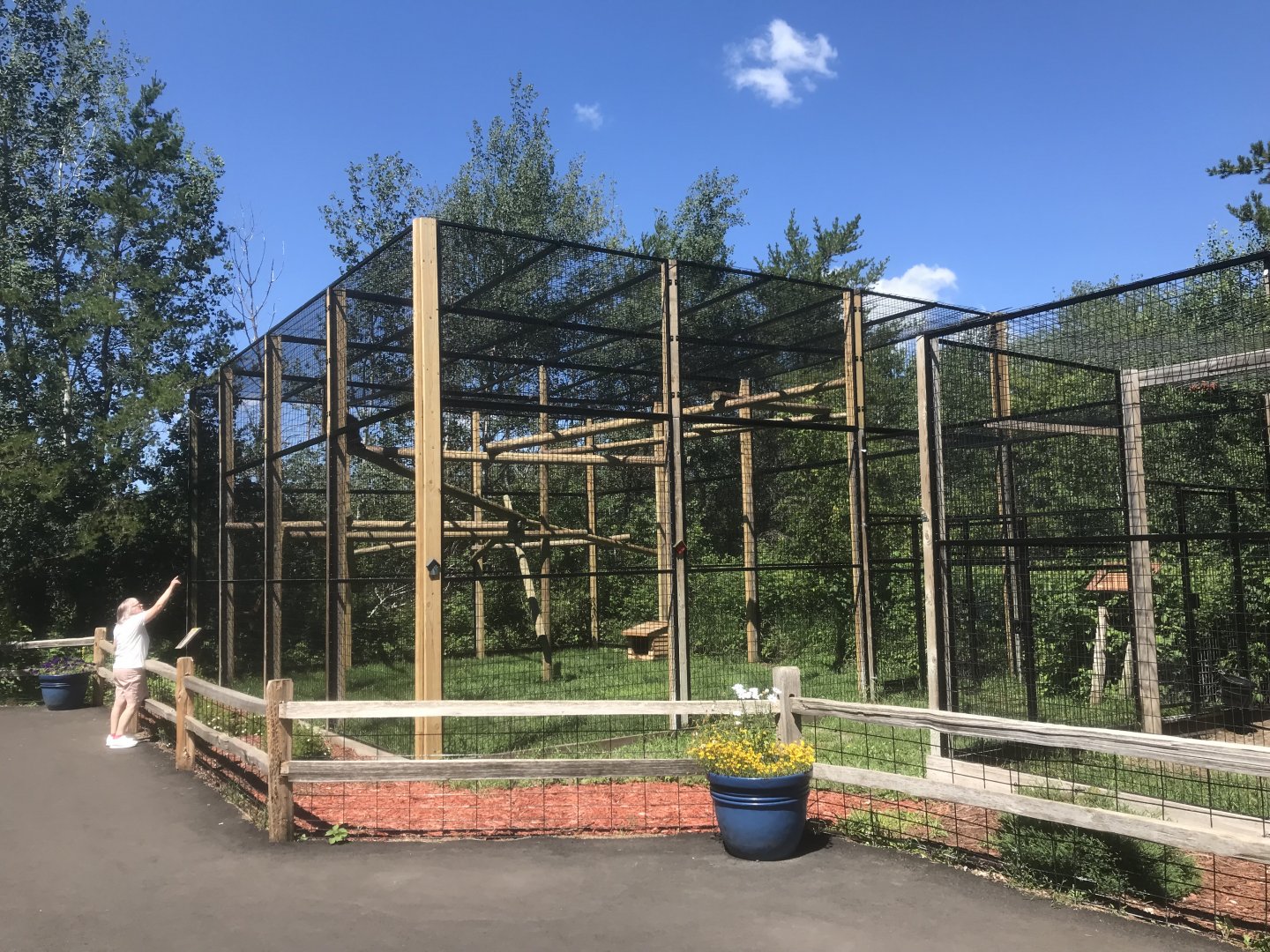 “North America” - New Geoffroy’s Spider Monkey Exhibit