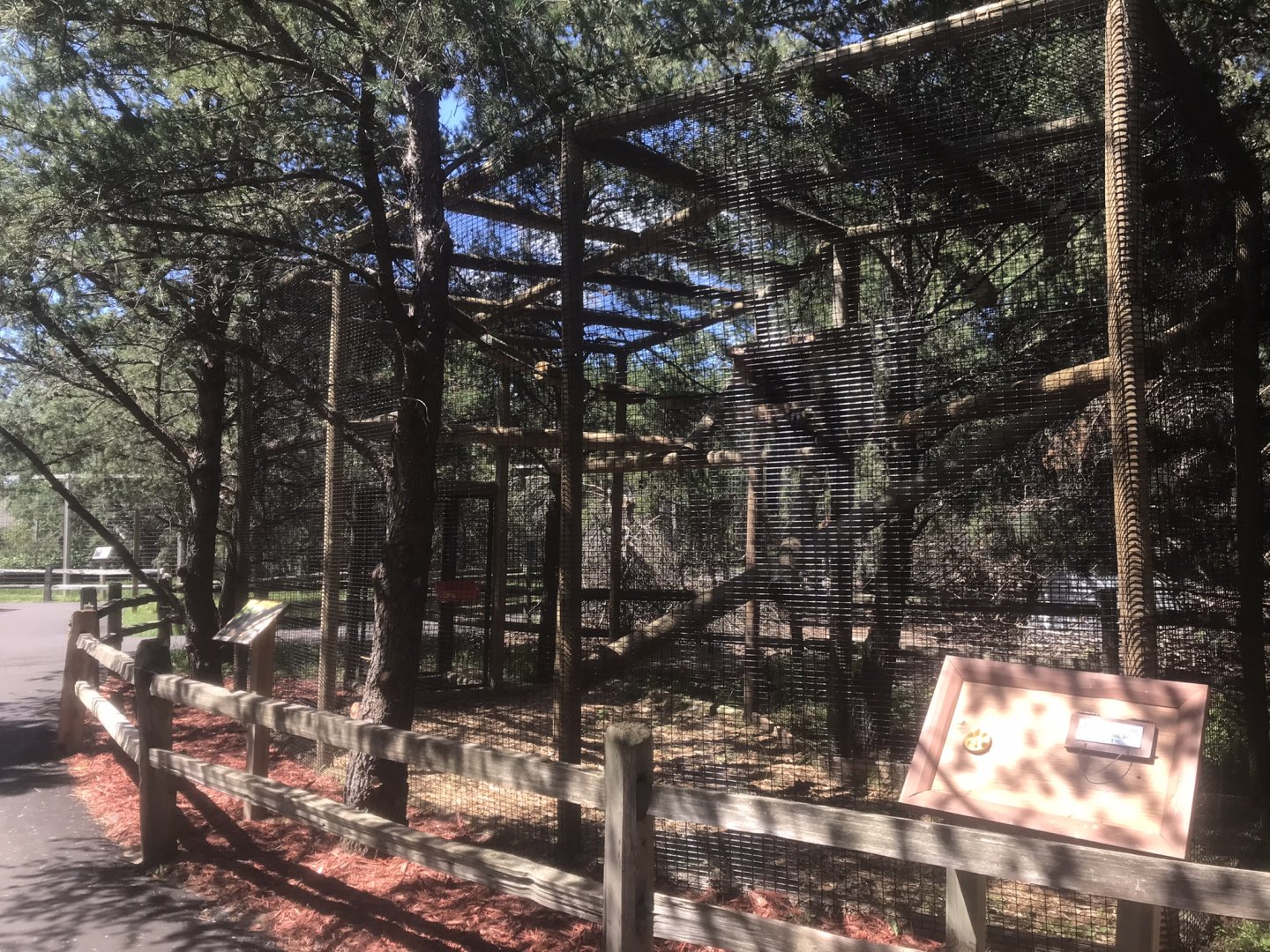 “North America” - New White-Faced Saki Exhibit