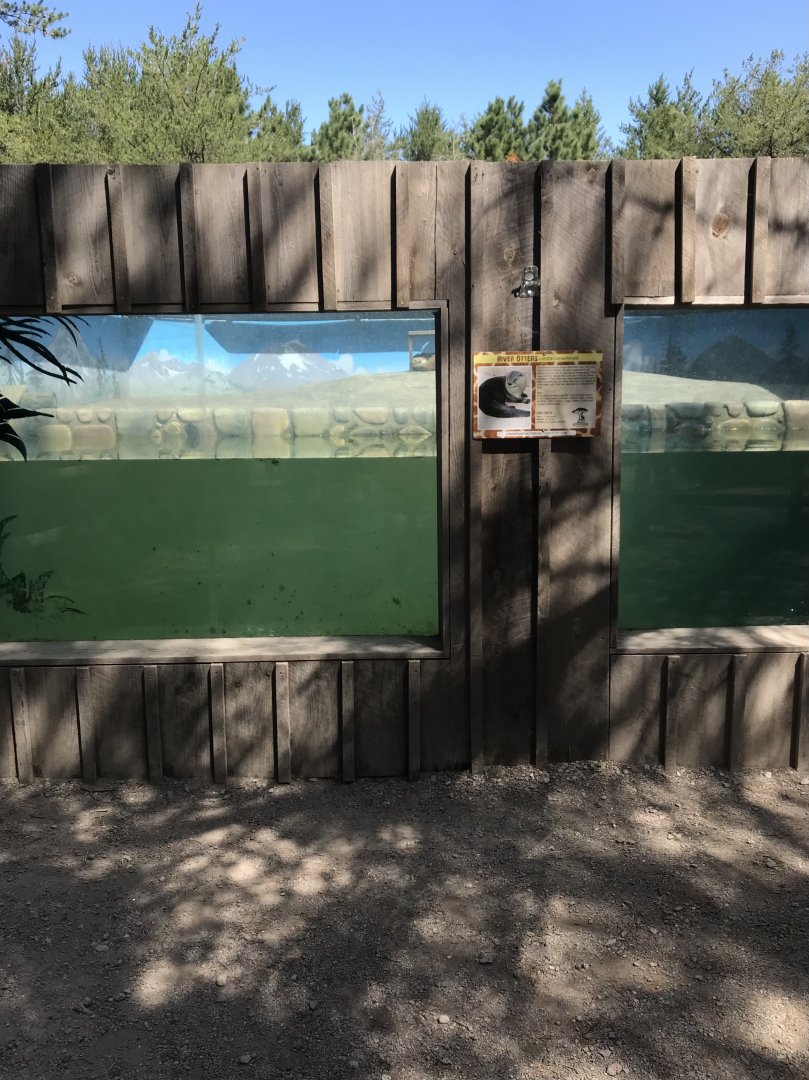 “North America”- North American river otter exhibit
