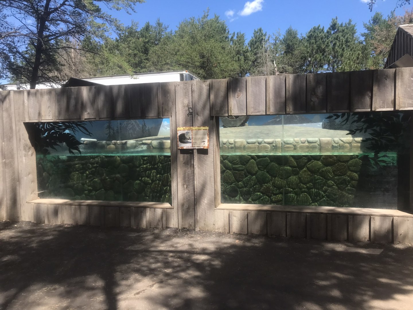 “North America” - North American River Otter