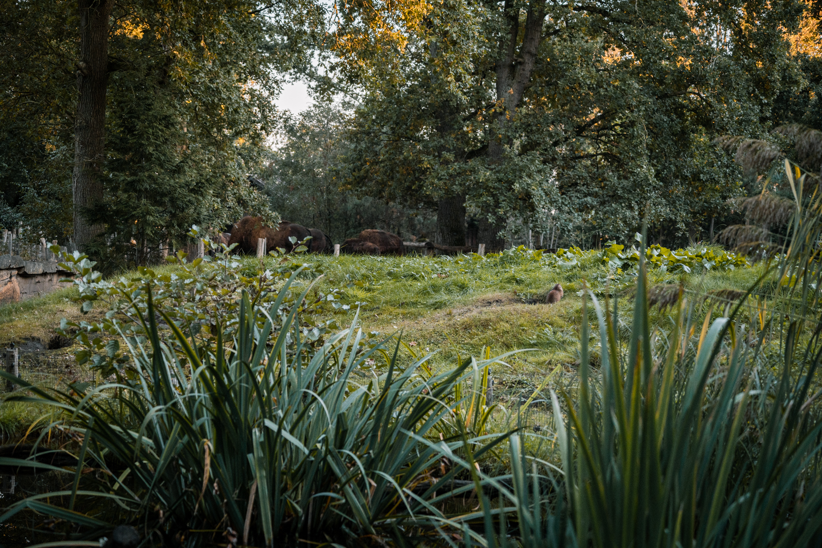 North America panorama