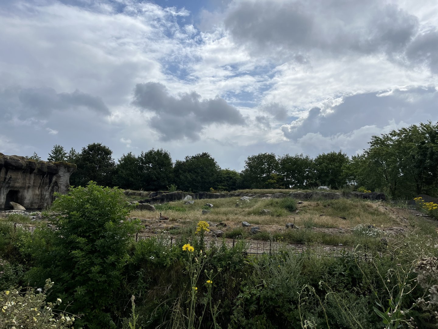 North America- Polar bear enclosure 13.7.23