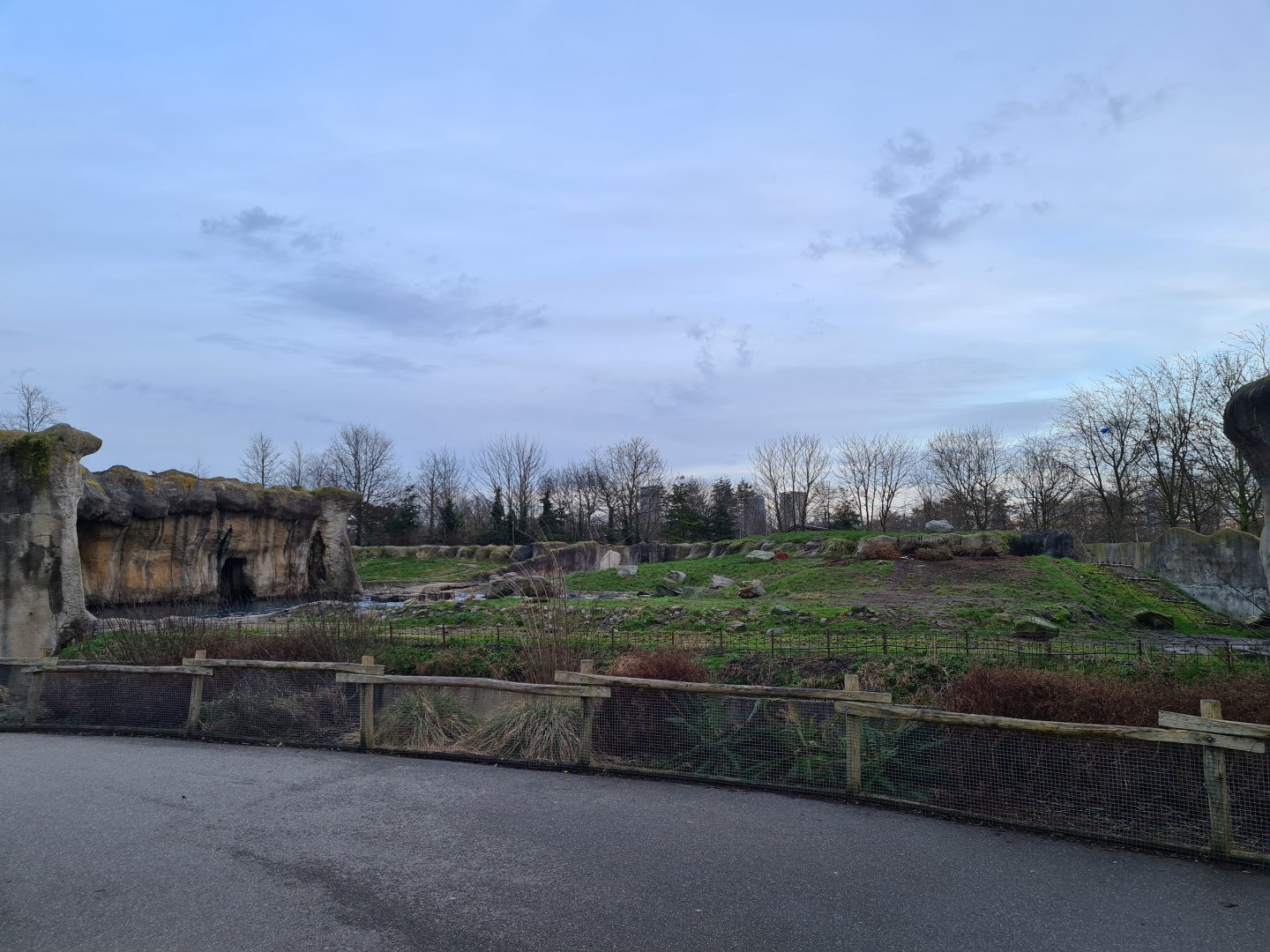 North America - Polar bear enclosure