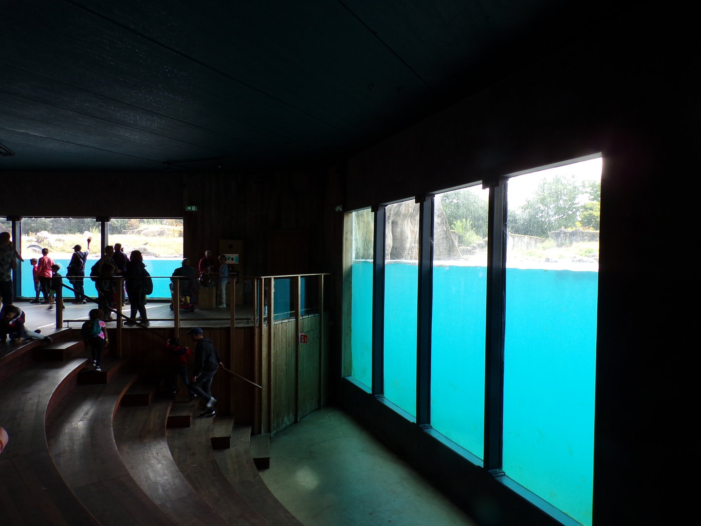 North America- Polar bear viewing area 13.7.23