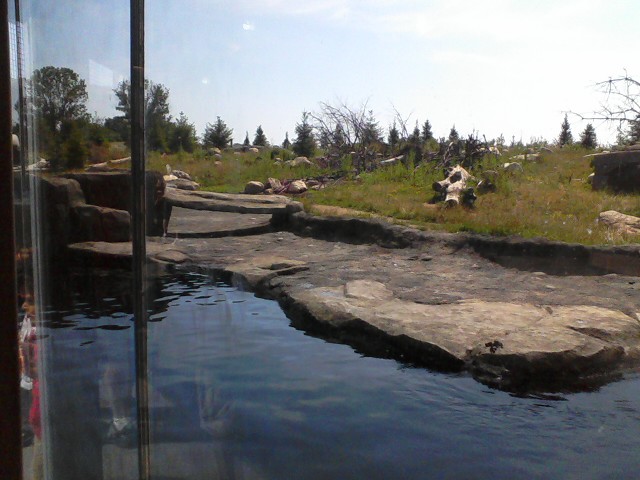 North America- Polar Frontier- Polar Bear exhibit