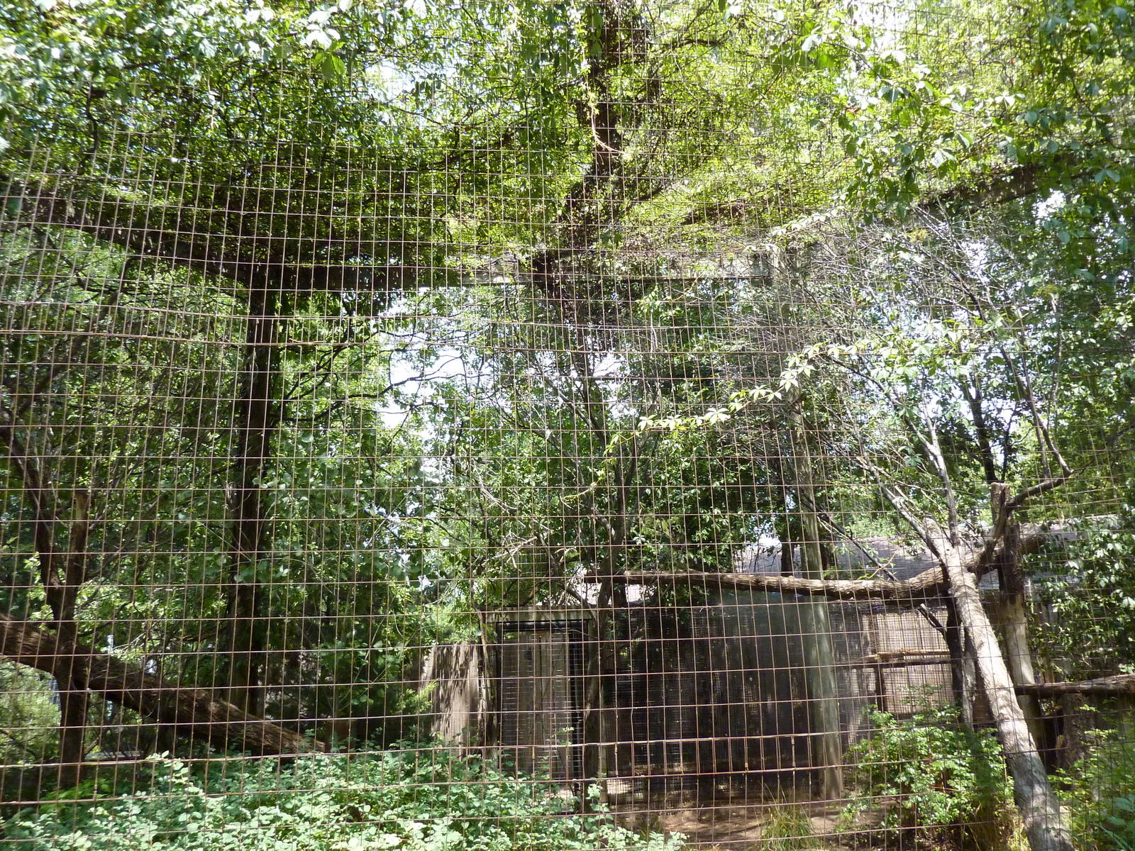 North America - Porcupine Exhibit