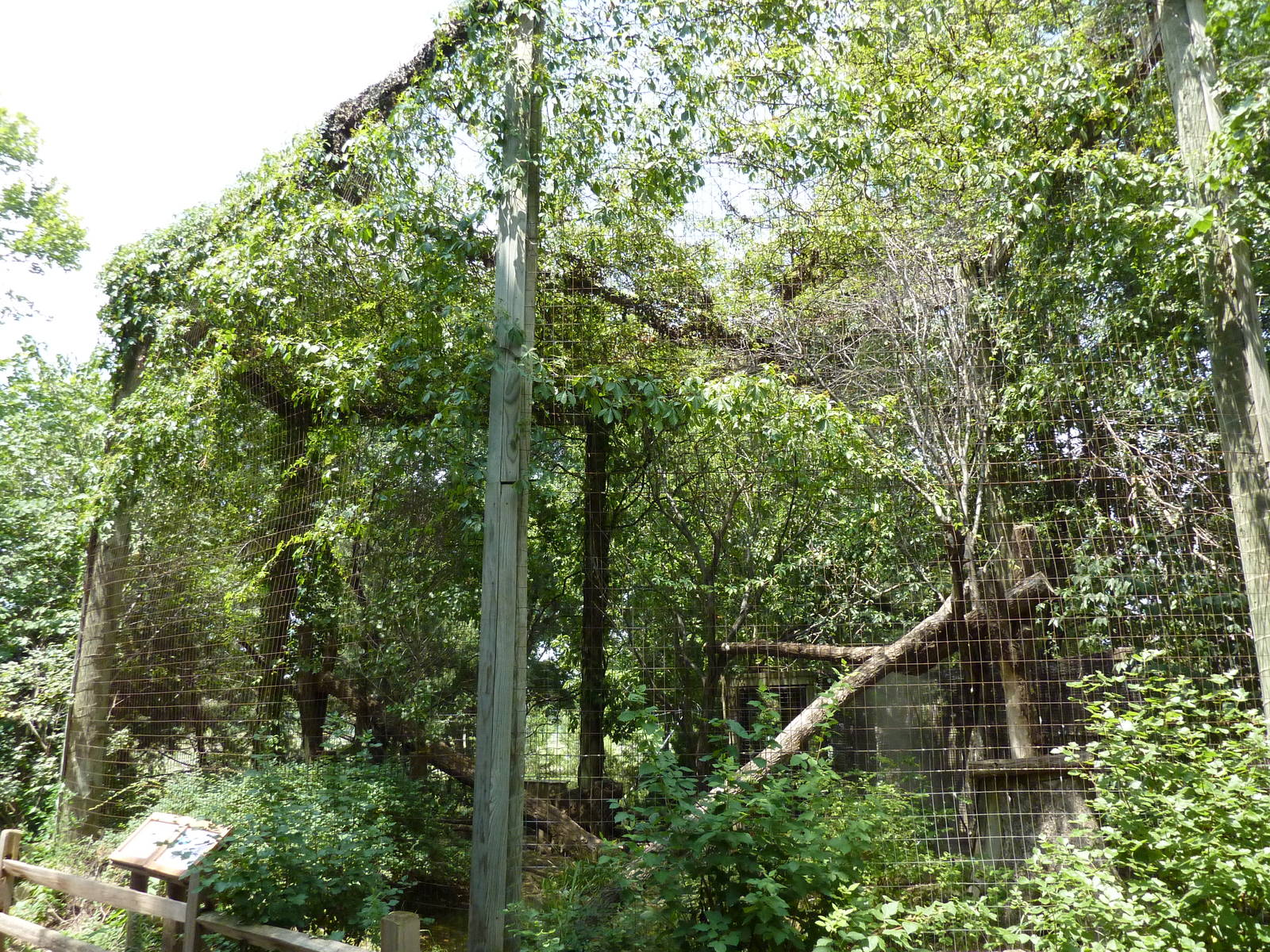 North America - Porcupine Exhibit