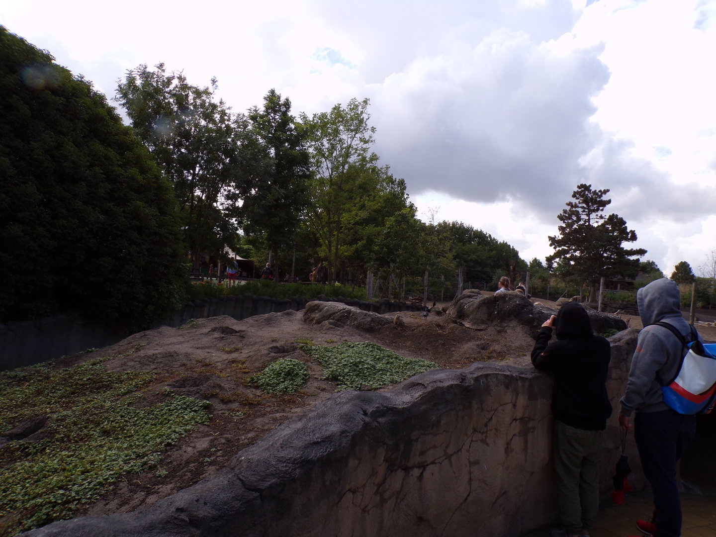 North America- Prairie dog enclosure 13.7.23