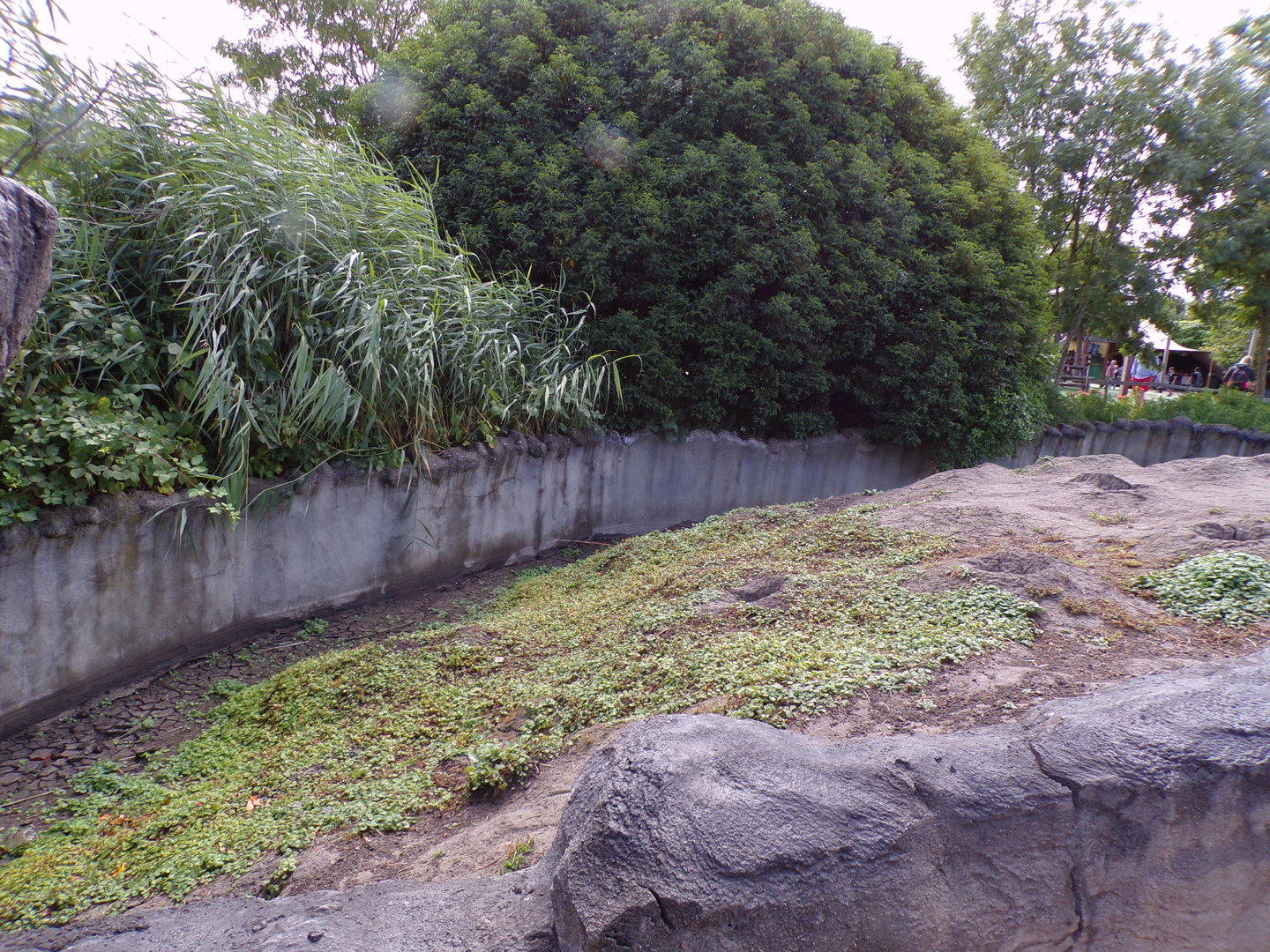 North America- Prairie dog enclosure 13.7.23