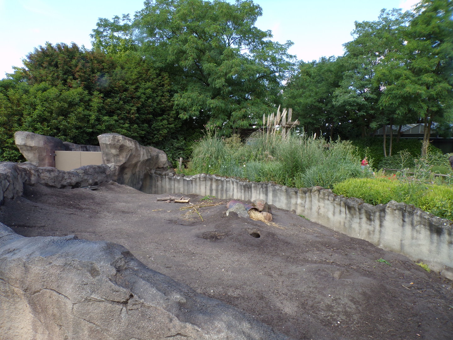 North America- Prairie dog enclosure 13.7.23