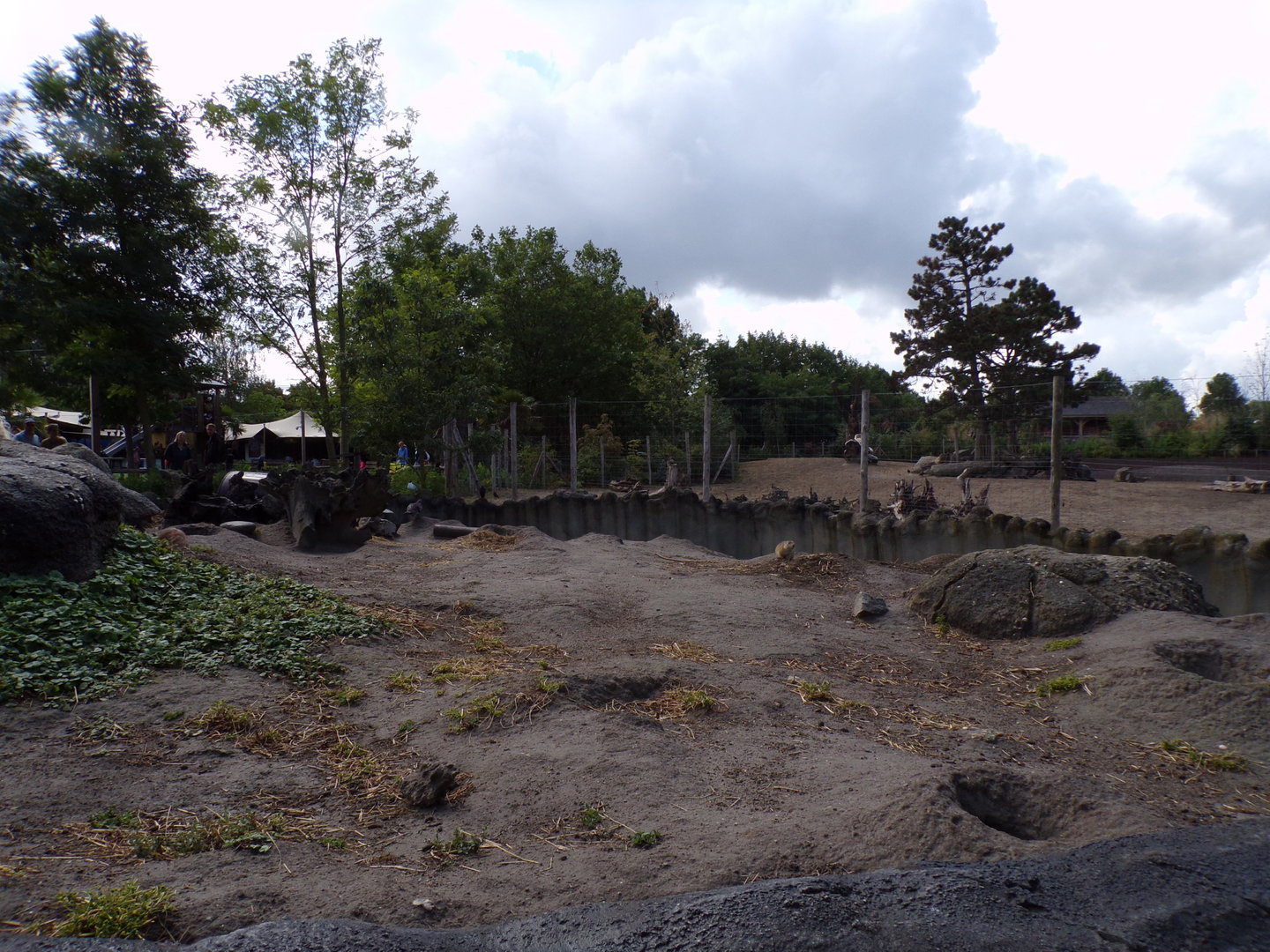North America- Prairie dog enclosure 13.7.23