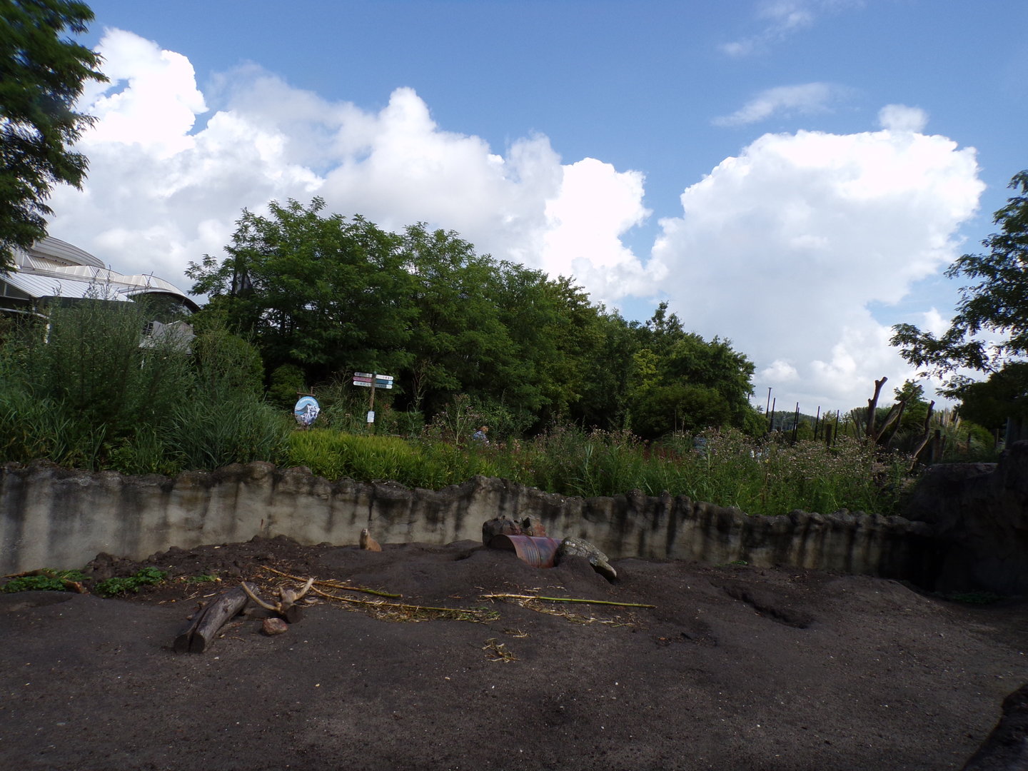 North America- Prairie dog enclosure 13.7.23
