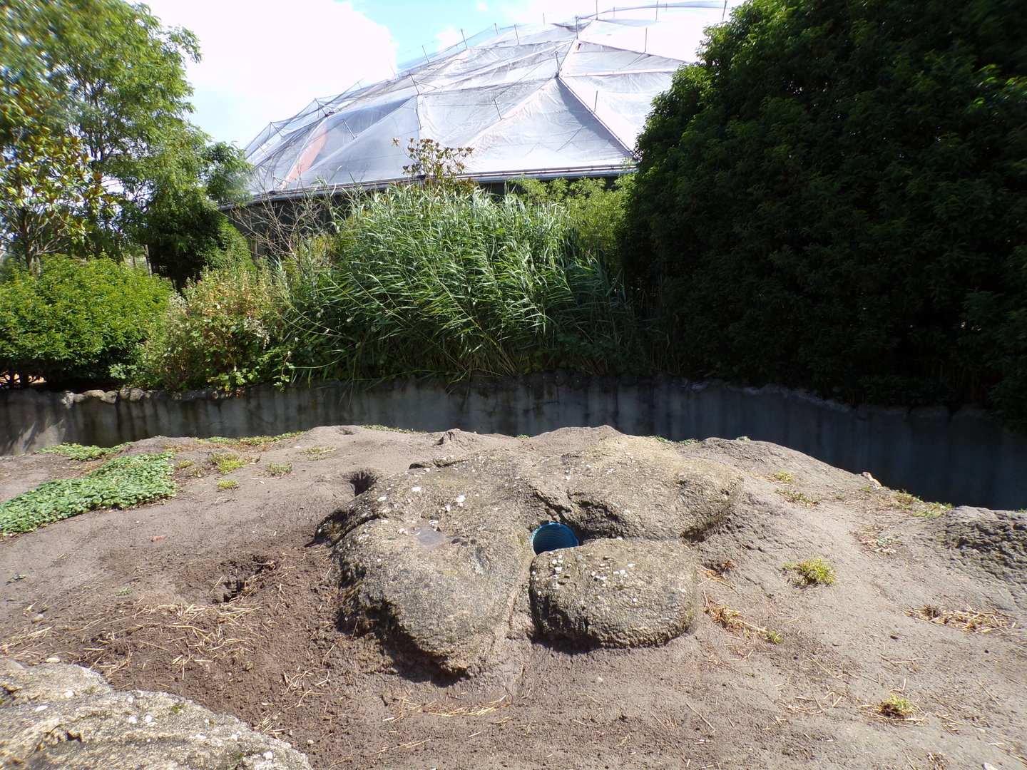 North America- Prairie dog enclosure 13.7.23