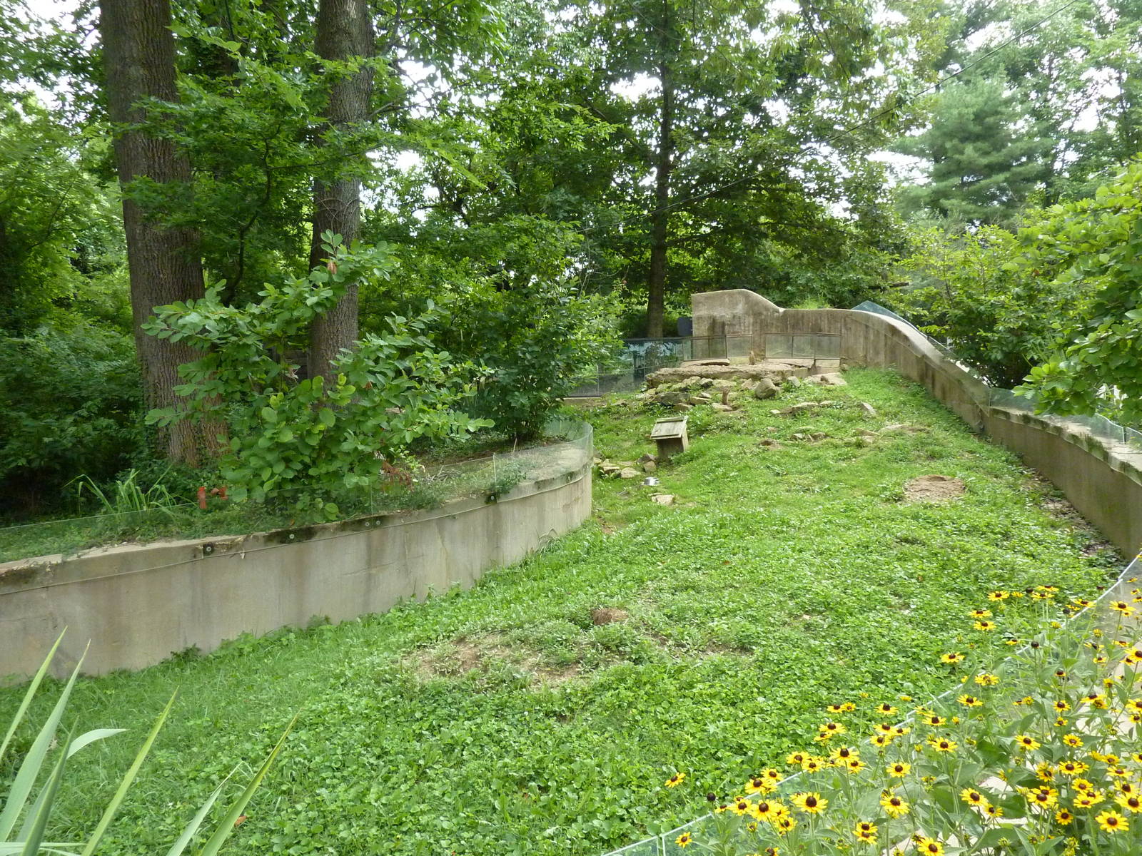North America - Prairie Dog Exhibit