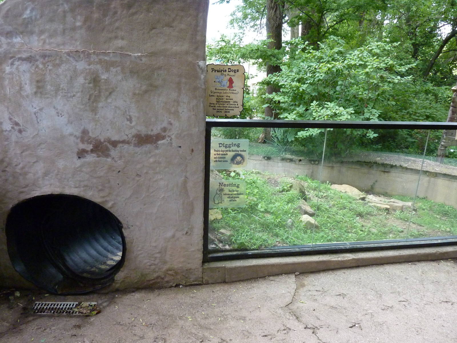 North America - Prairie Dog Exhibit