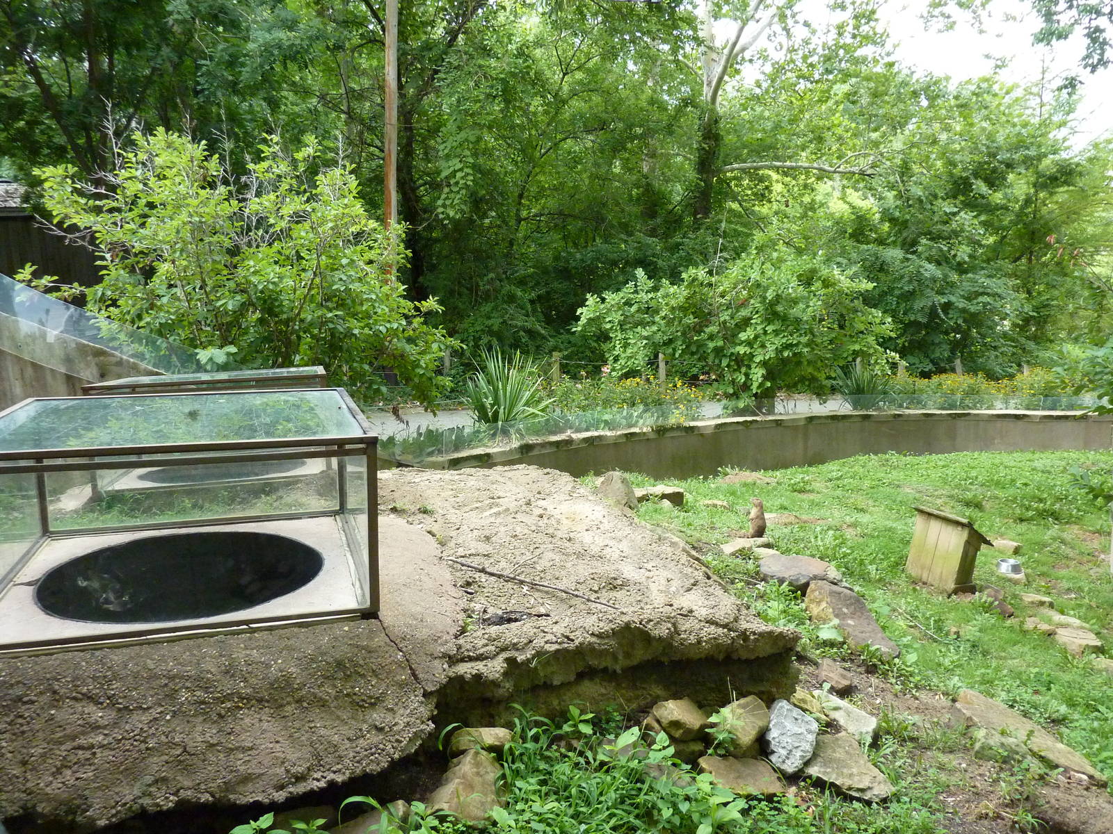 North America - Prairie Dog Exhibit