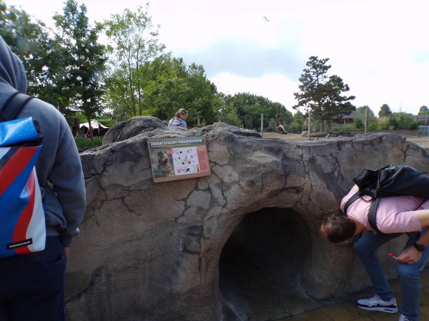 North America- Prairie dog viewing area- tunnel access 13.7.23