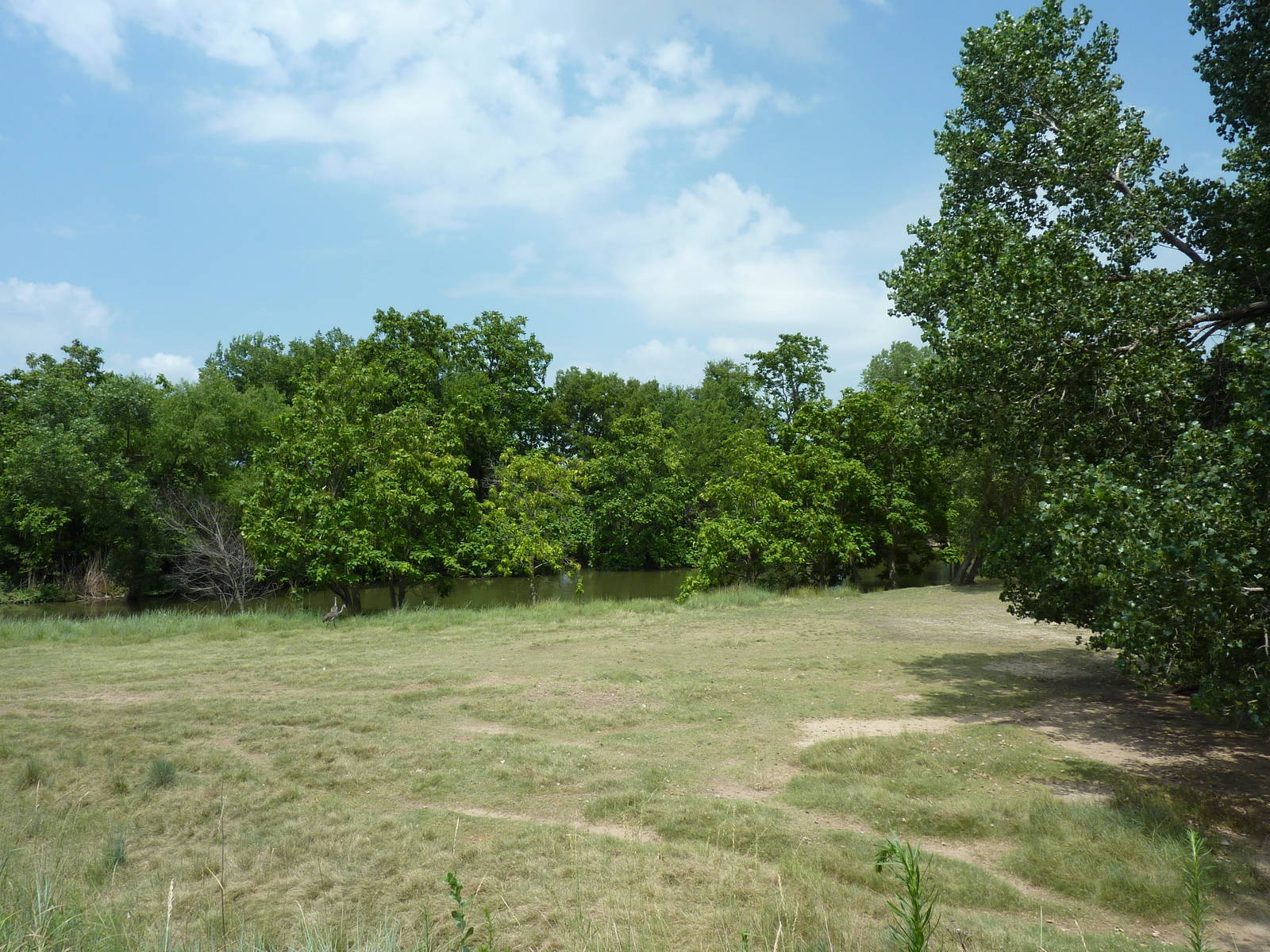 North America - Pronghorn Antelope/Sandhill Crane Exhibit
