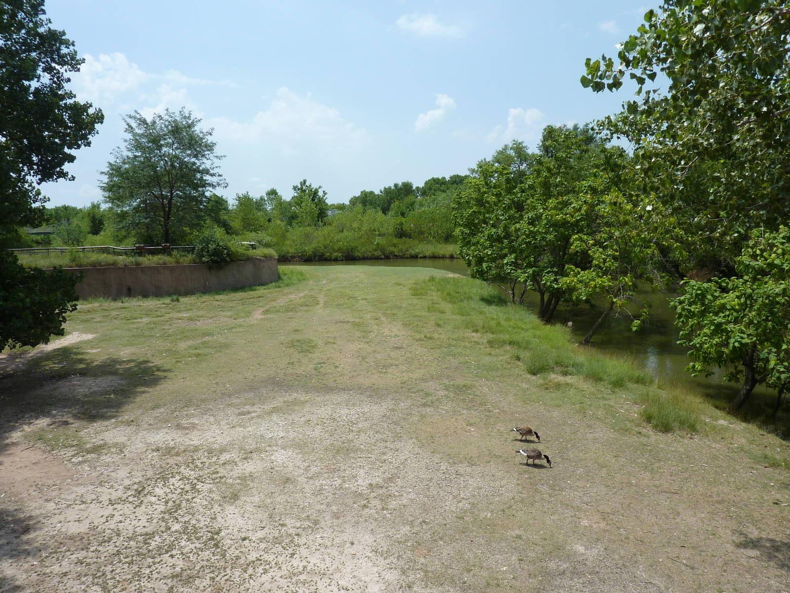 North America - Pronghorn Antelope/Sandhill Crane Exhibit