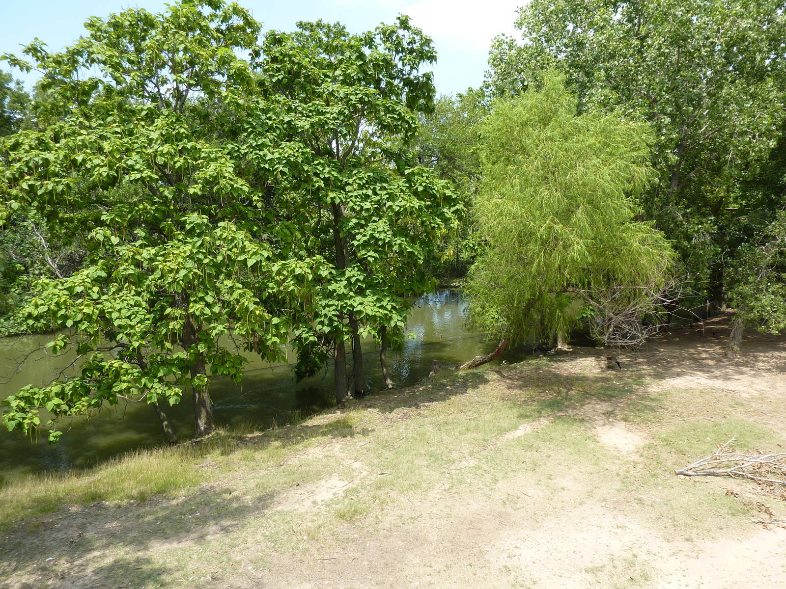 North America - Pronghorn Antelope/Sandhill Crane Exhibit