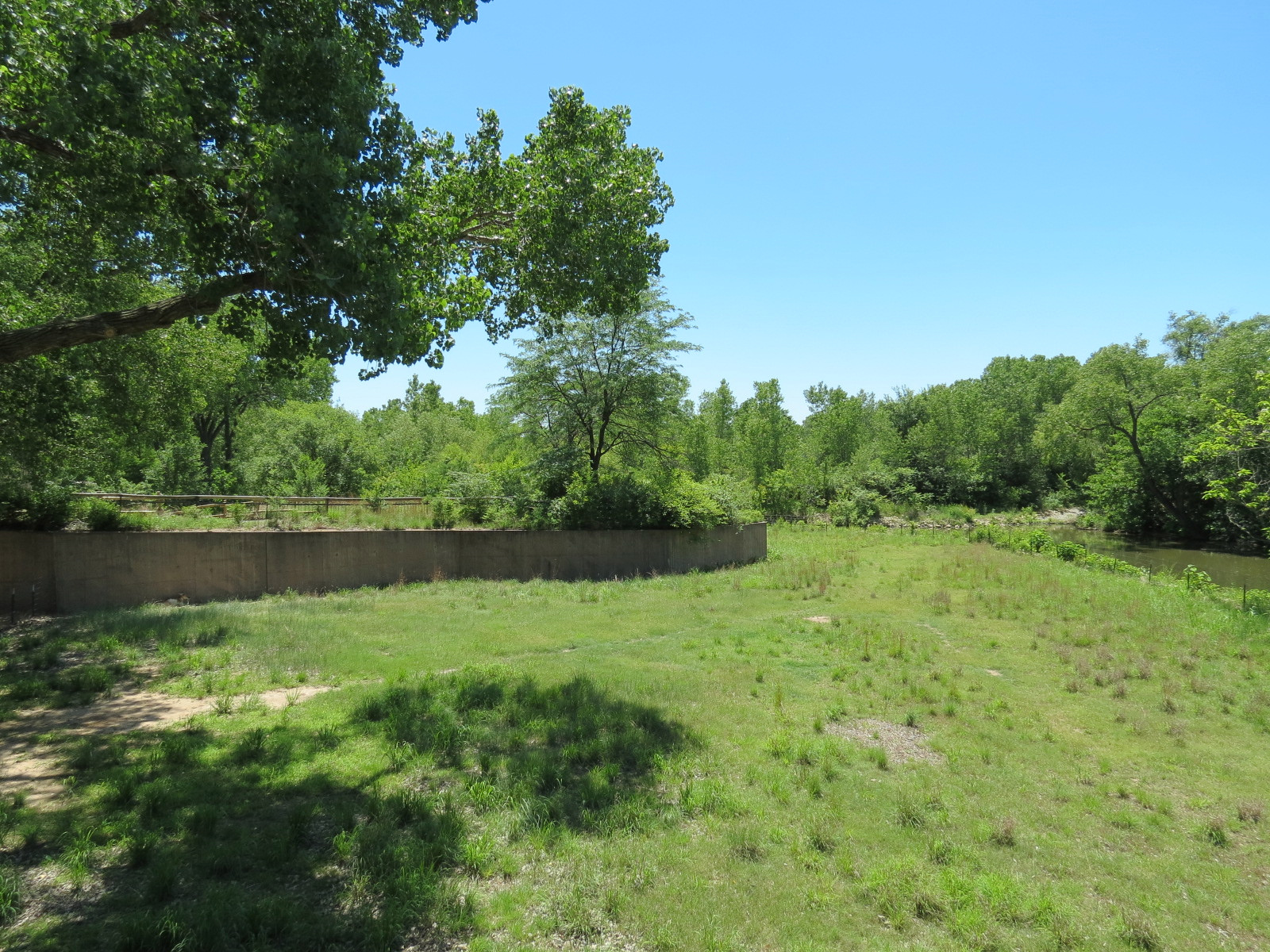 North America - Pronghorn Exhibit